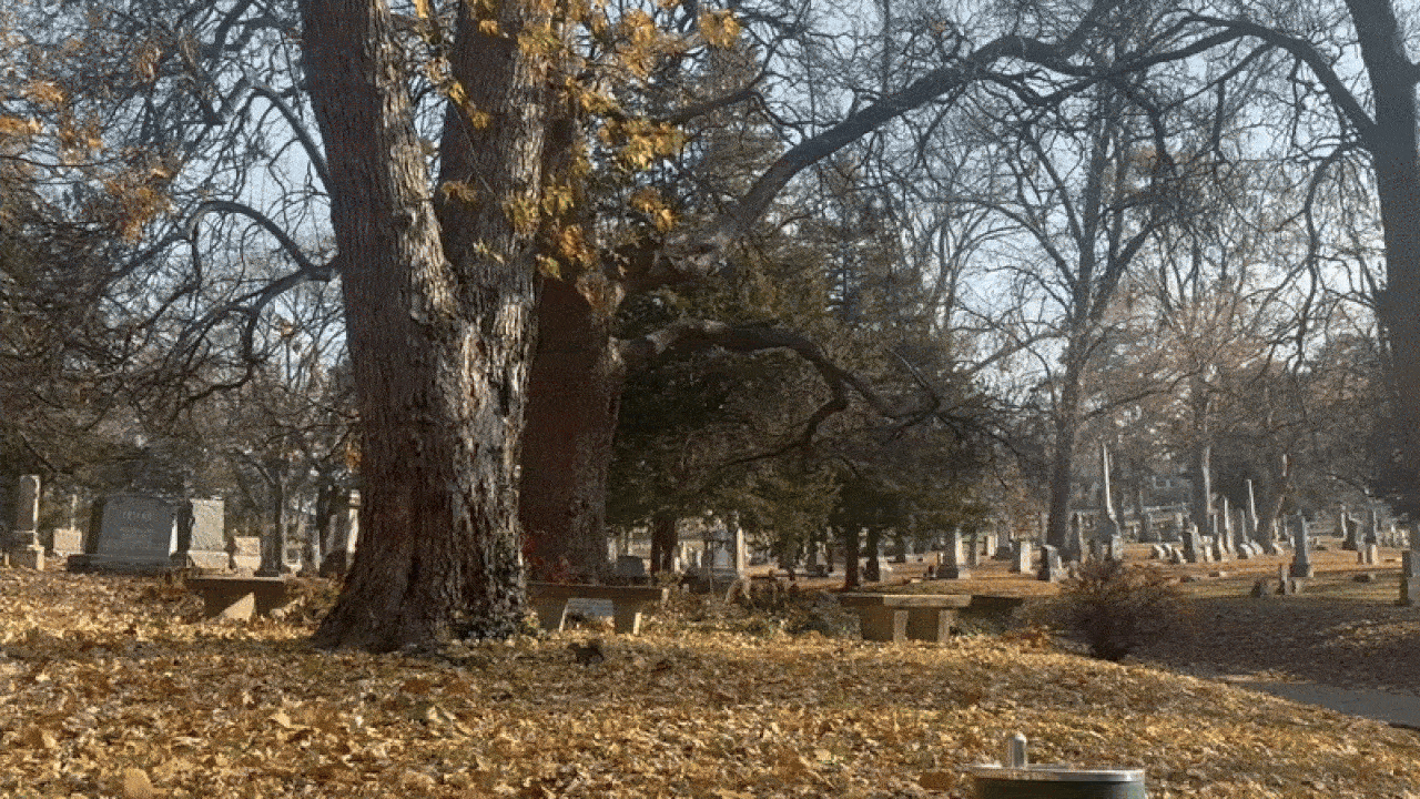 Autumn cemetery with brown fallen leaves covering the ground, large trees with sparse yellow leaves, and numerous gravestones scattered throughout under a clear blue sky.