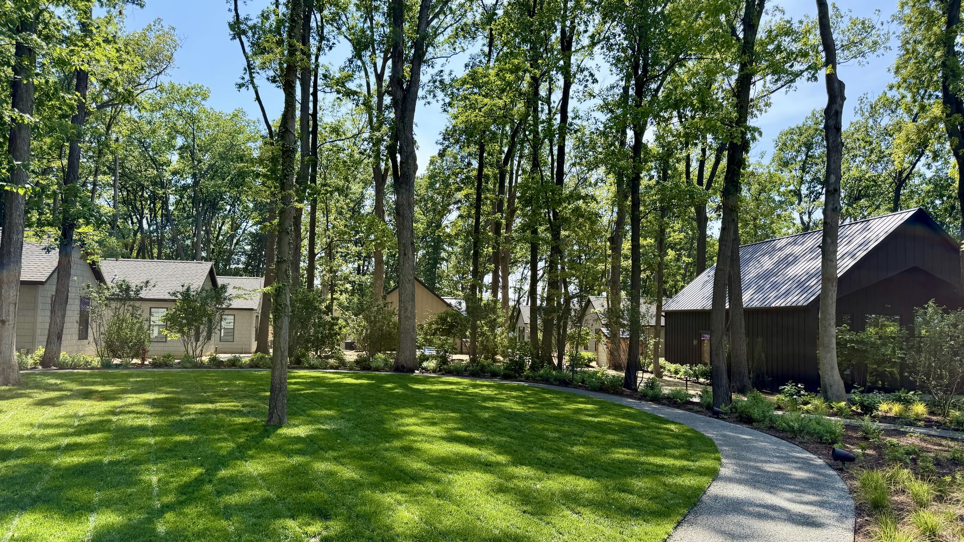 Sunny suburban scene with tall trees and green leaves, a curved gravel walkway, lush lawn, and row of beige houses with brown roofs in the background under a bright blue sky.