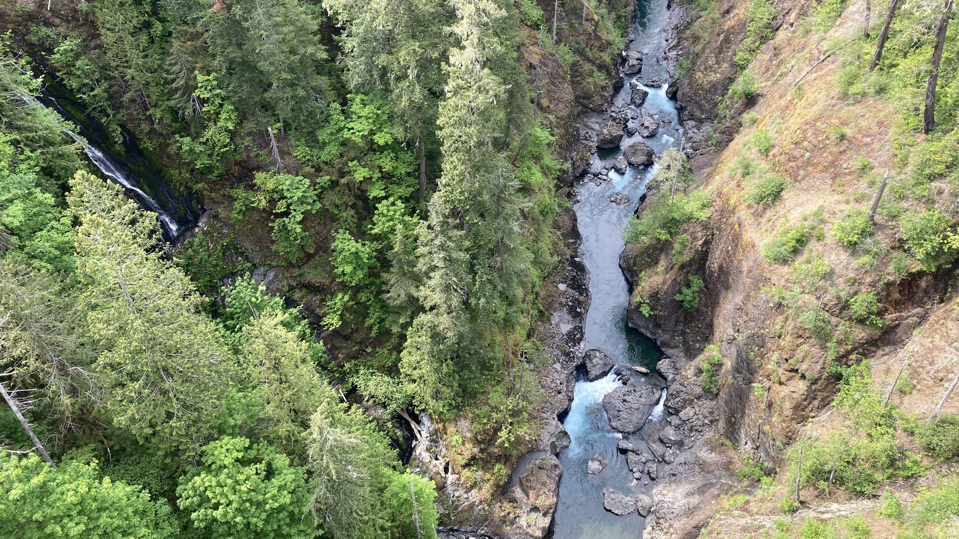 A birds' eye view of a river fork with one heading left and the other straight ahead.