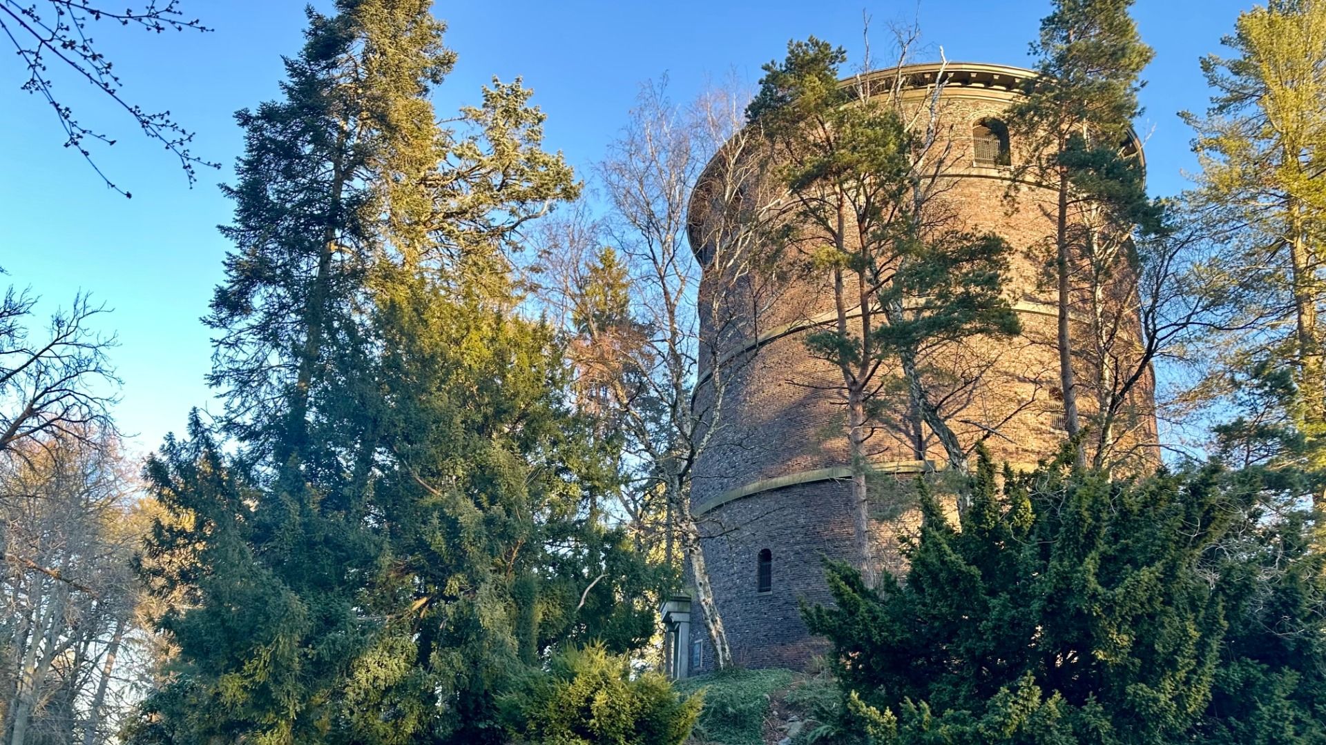 A view of the water tower at Volunteer Park nestled among trees. 