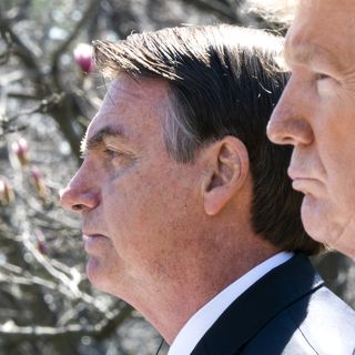 Trump defends global allies against "witch hunts"