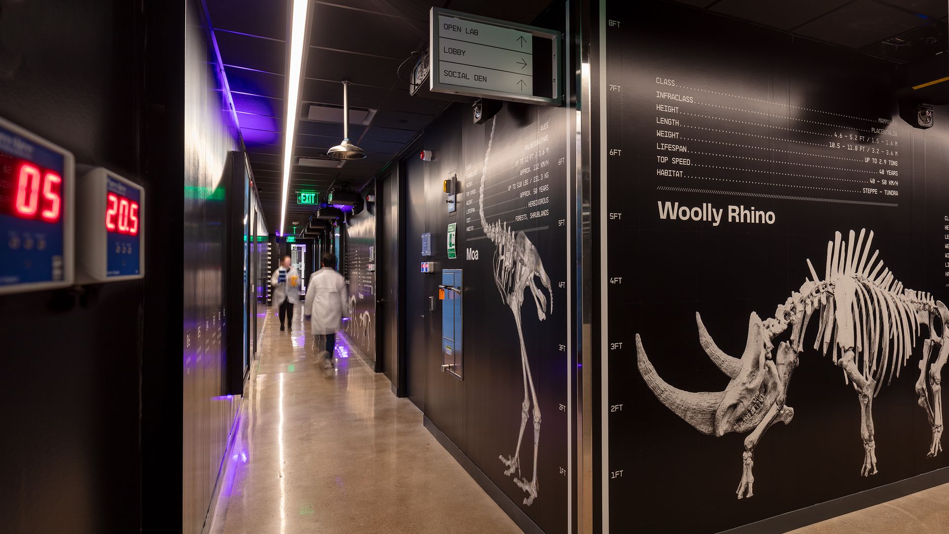 A photo of a hallway in the Dallas-based Colossal Biosciences. The walls are painted black and have skeletons of extinct animals, including a woolly rhino