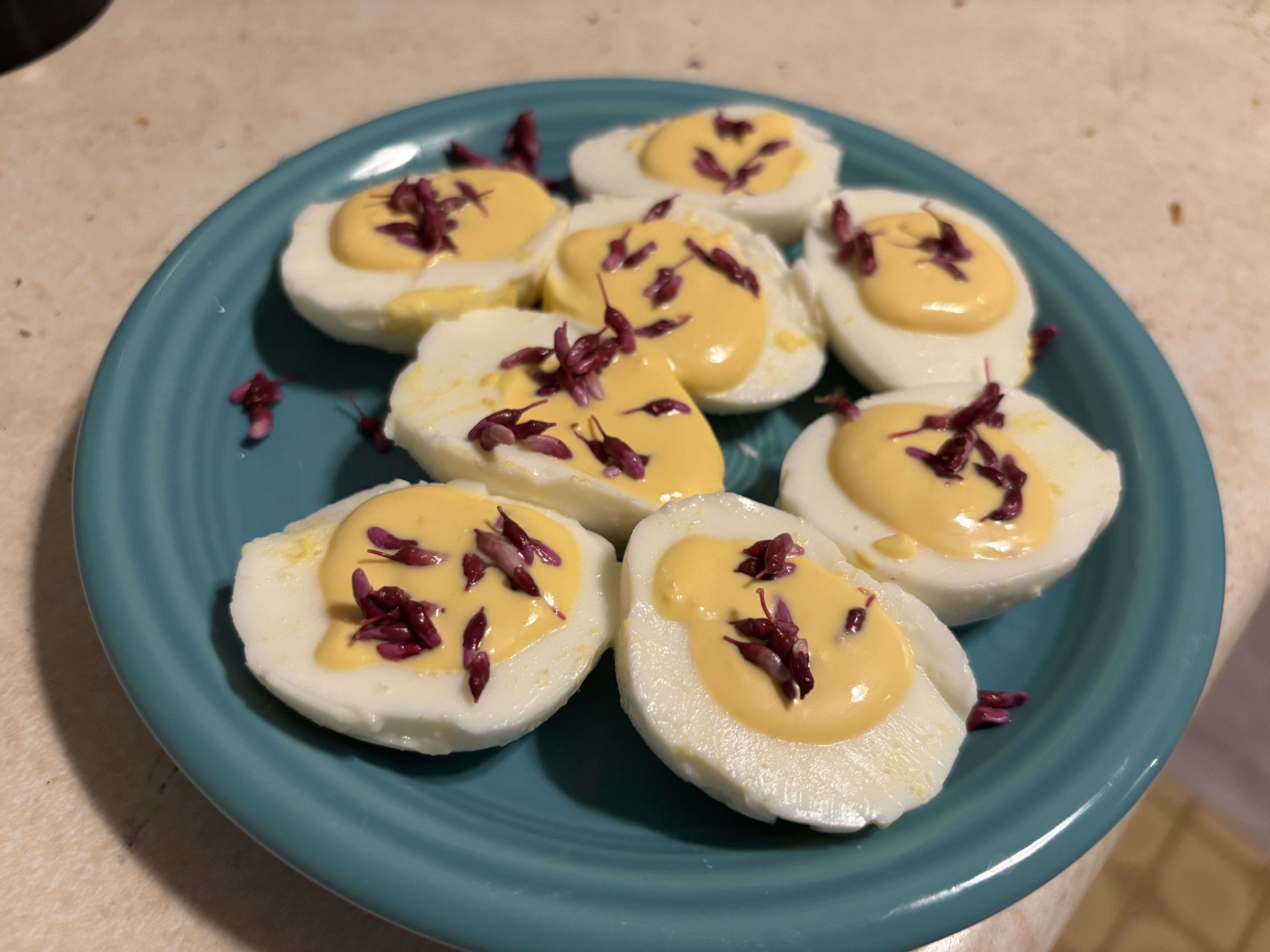 Deviled eggs made with redbud capers