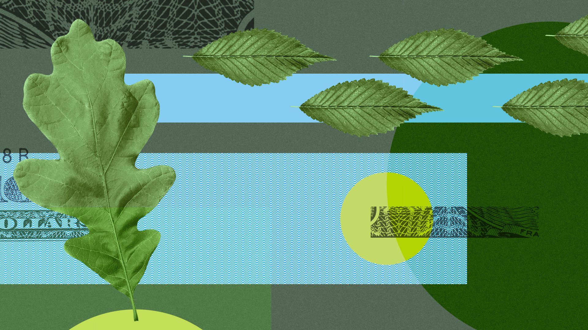 Illustration of leaves, abstract shapes and money elements.