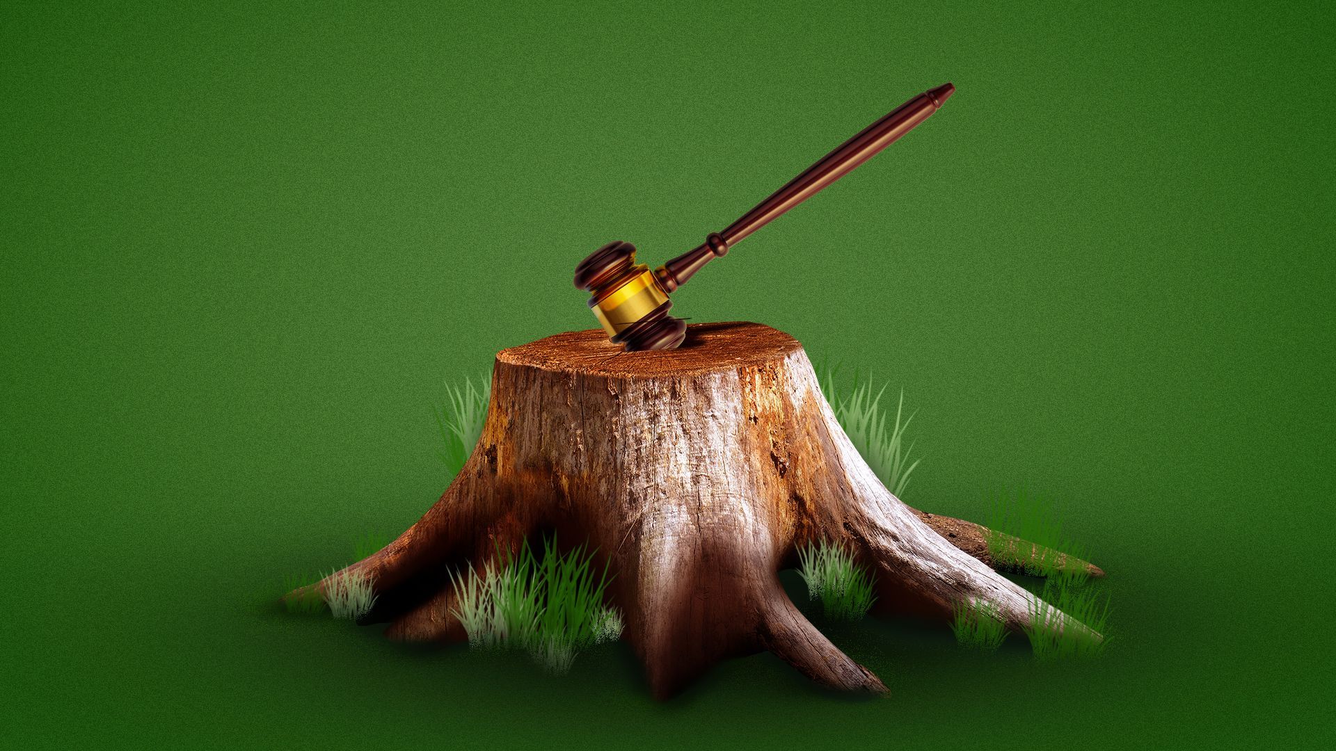 Illustration of a tree trunk with a gavel stuck in the top as if an axe.