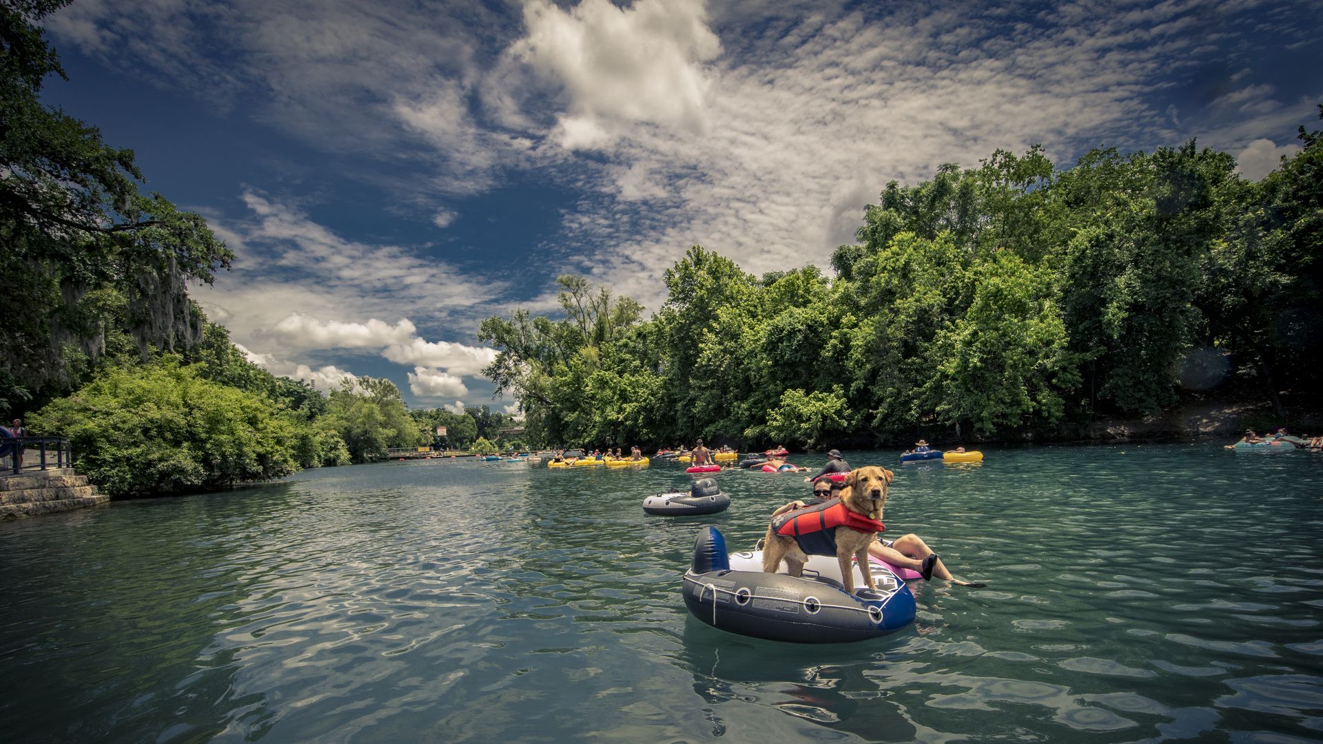A photo of a dog standing on an innertube