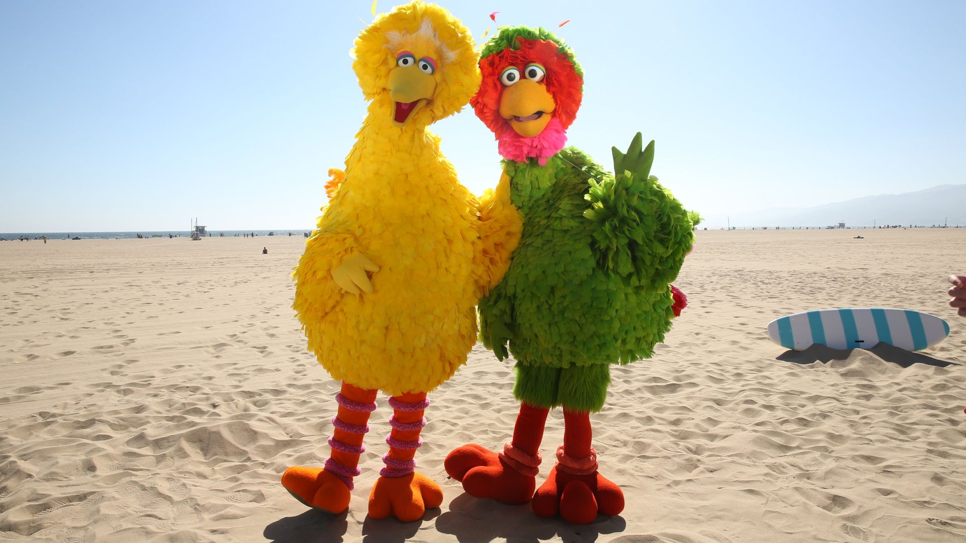 Sesame Street's Big Bird stands to the left of  his Mexican cousin, Abelardo Montoya, on the sand at the beach
