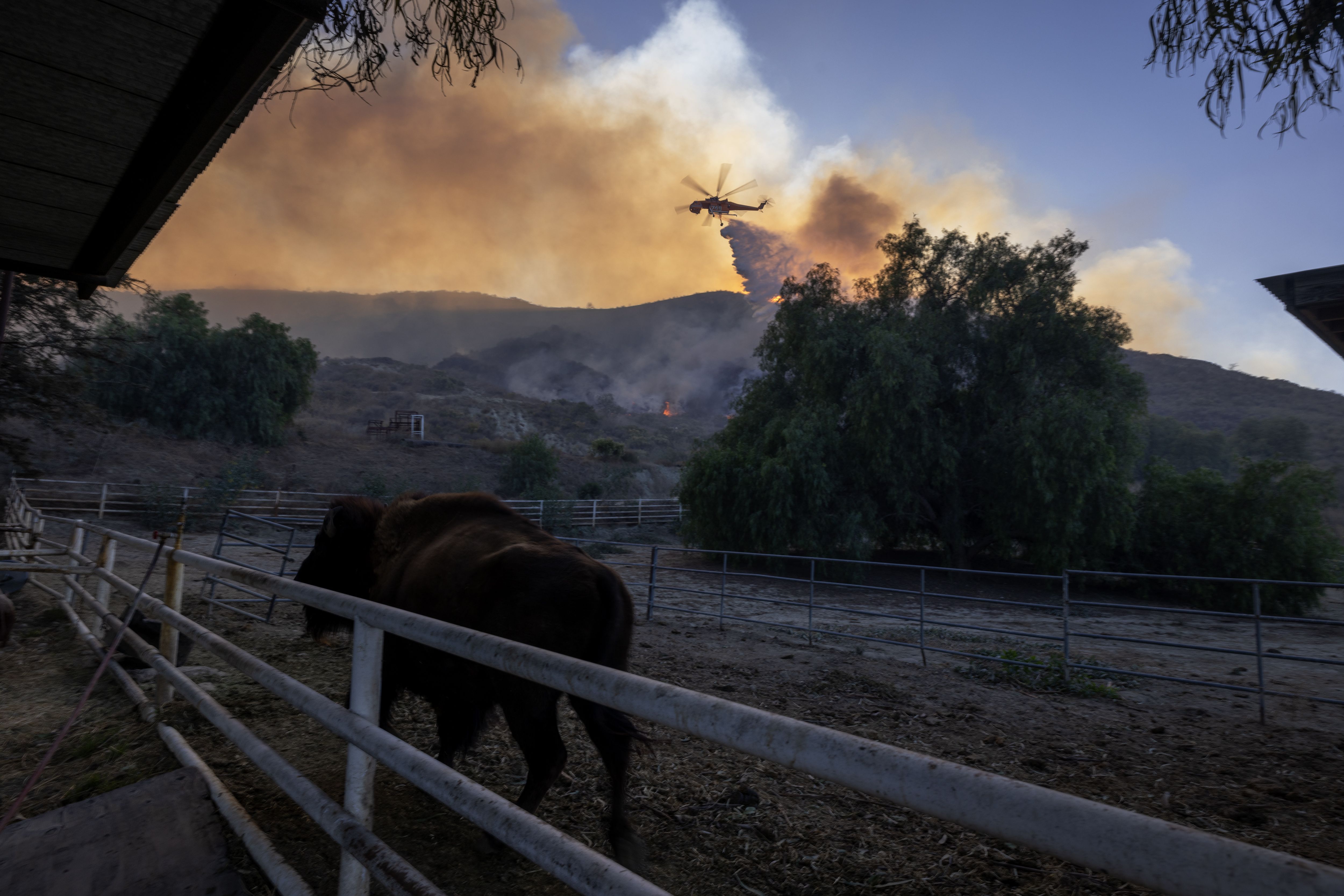 Photos California's Mountain fire burns homes prompts evacuations
