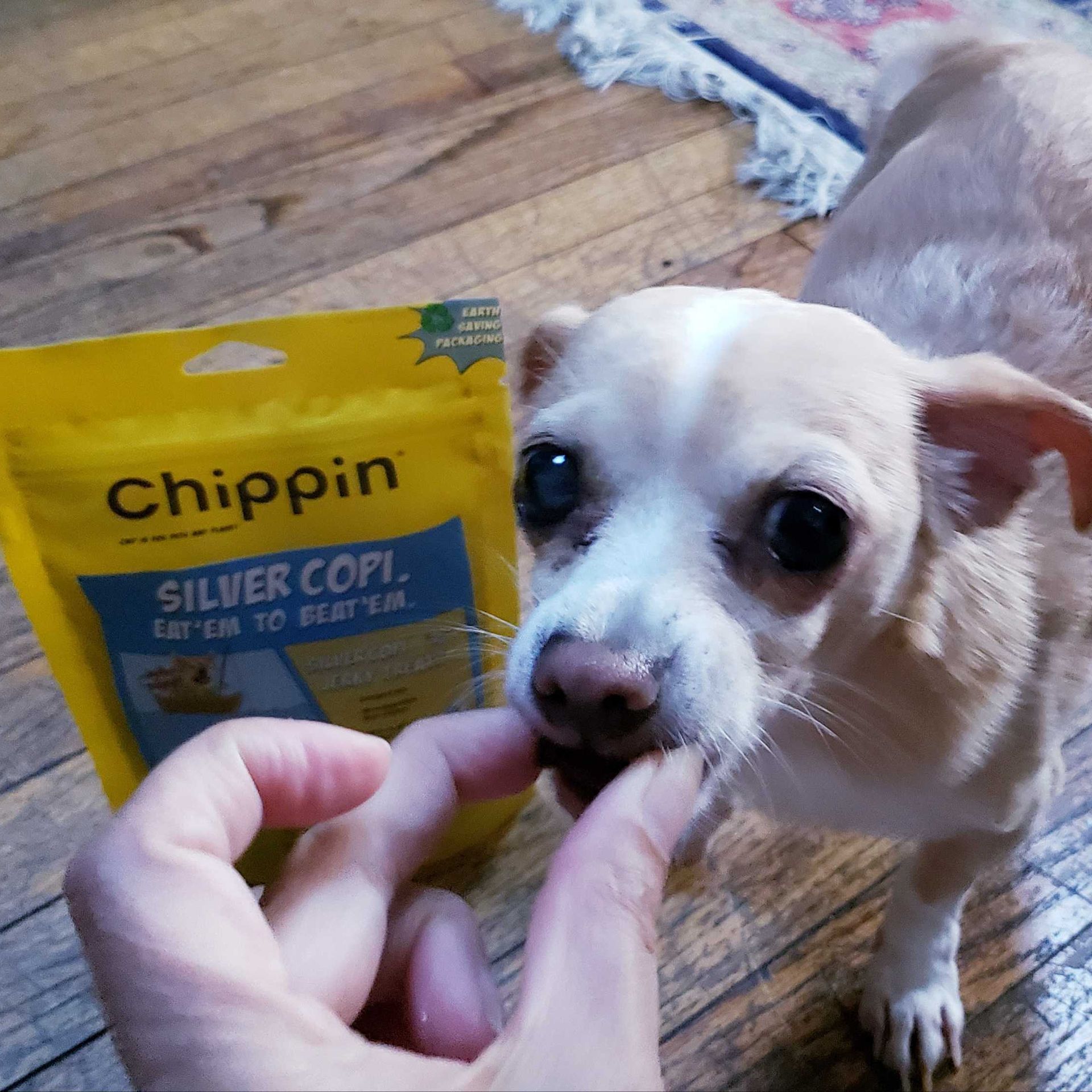 Asian carp dog treats new arrivals