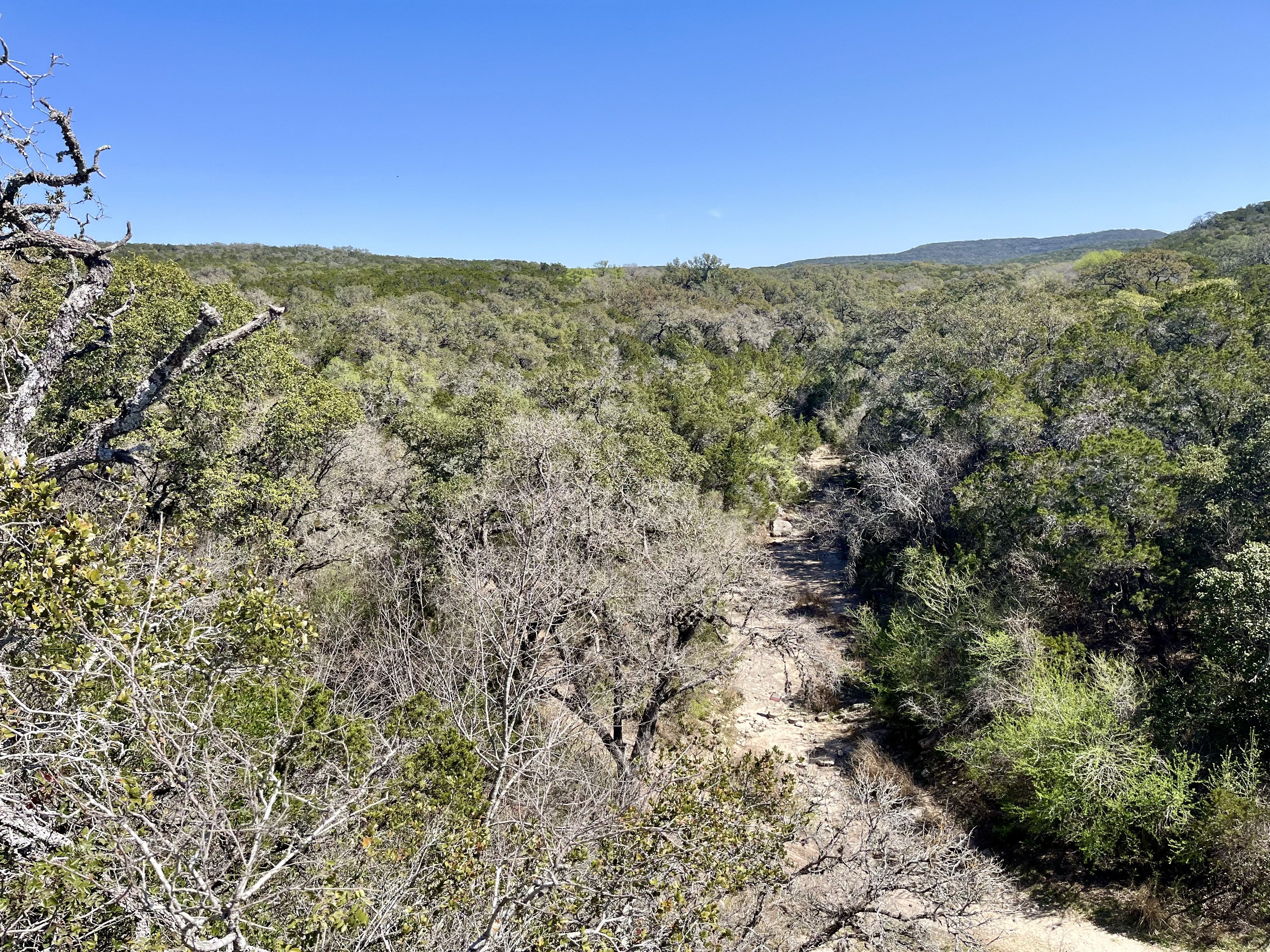 A very Hill Country view of the hills, trees and blue sky shown alongside a dry valley where dinosaur tracks lie in the distance.