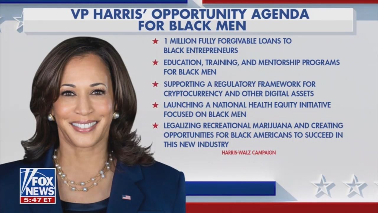 Harris agenda in bullet points
