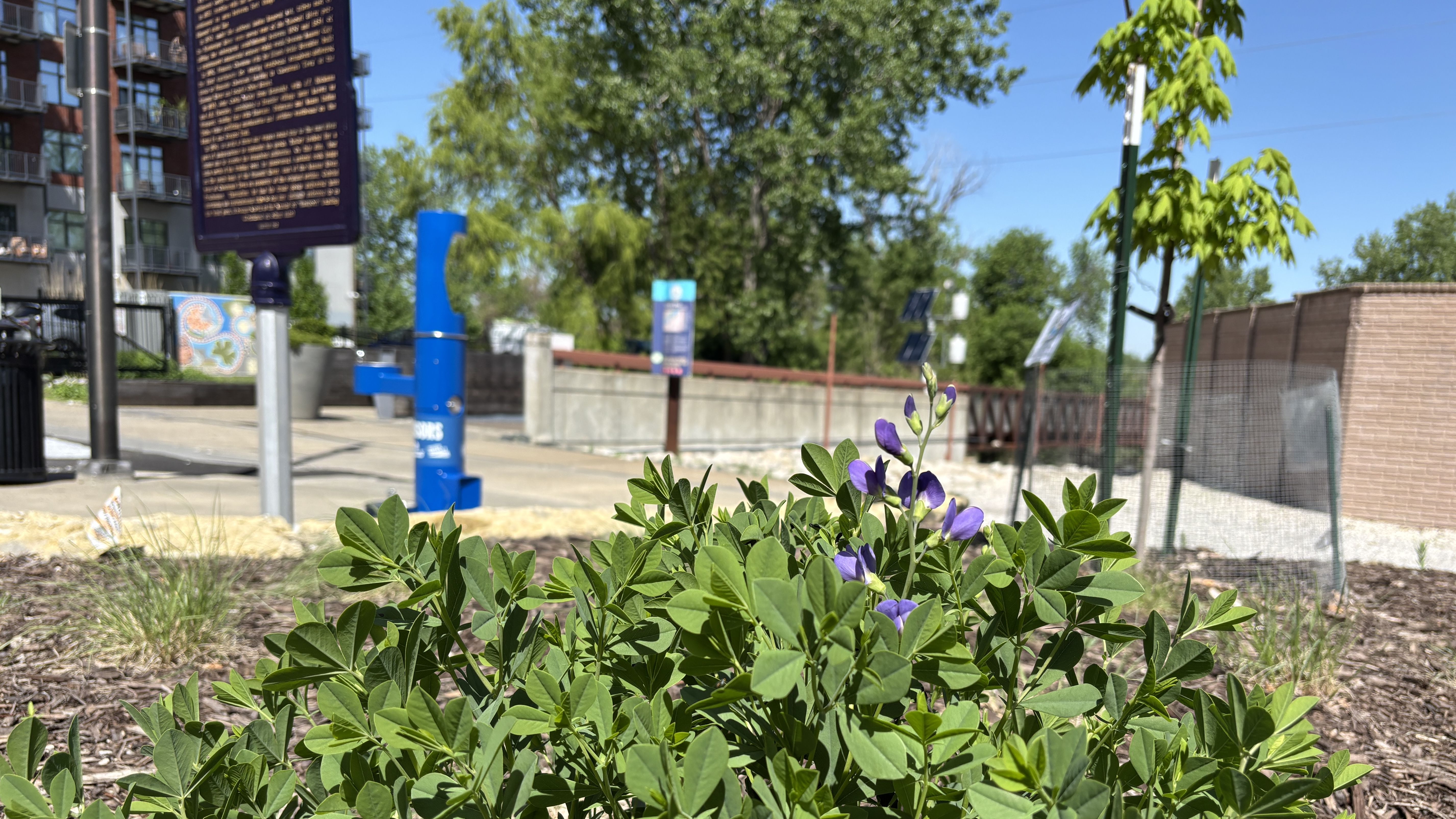 Foreground shows a green shrub with purple flowers. An urban park scene includes a blue post, purple sign, a left brick building with balconies, trees, a fence, and a bright blue sky.