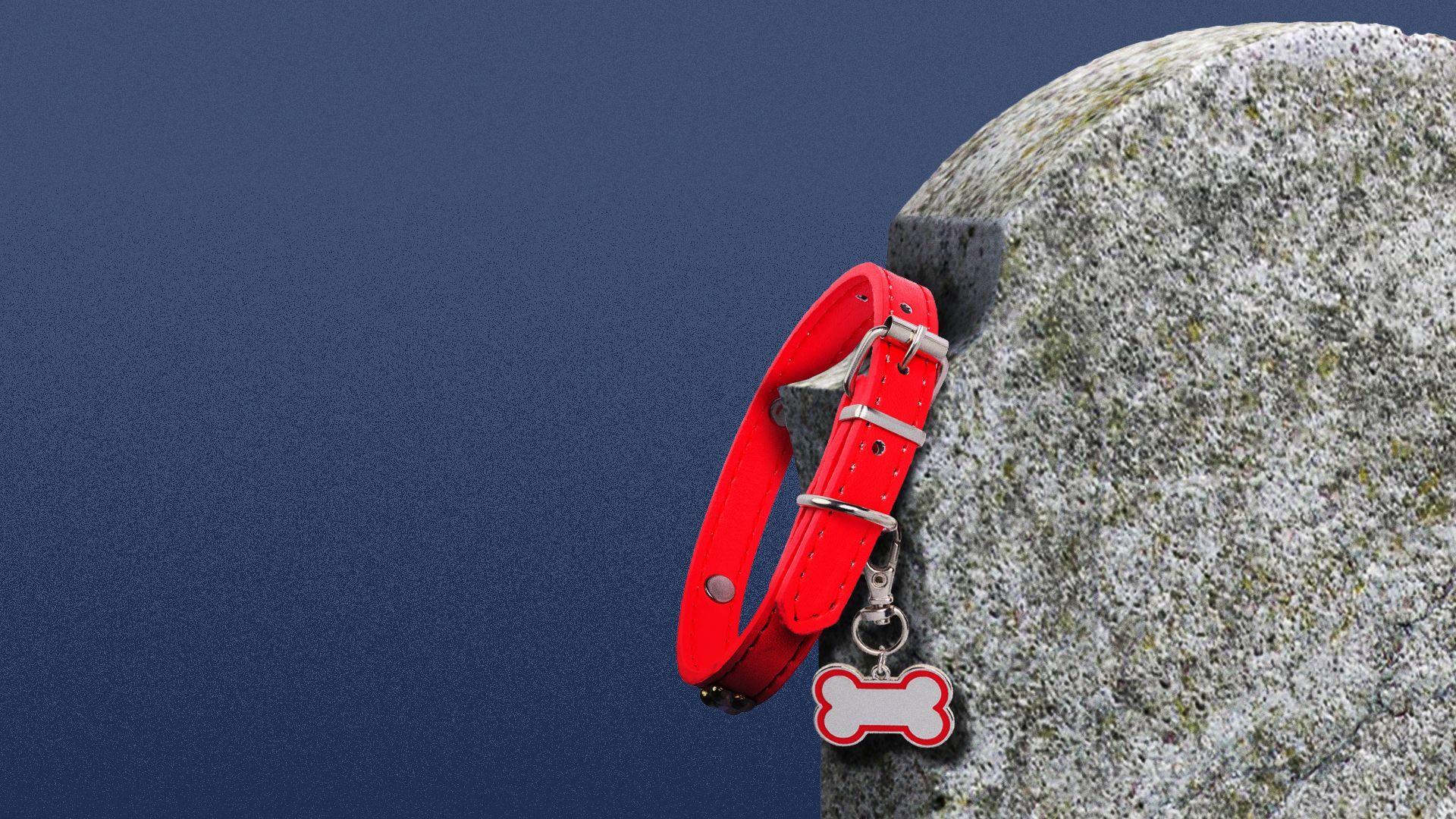 Illustration of a pet collar hanging from a gravestone. 