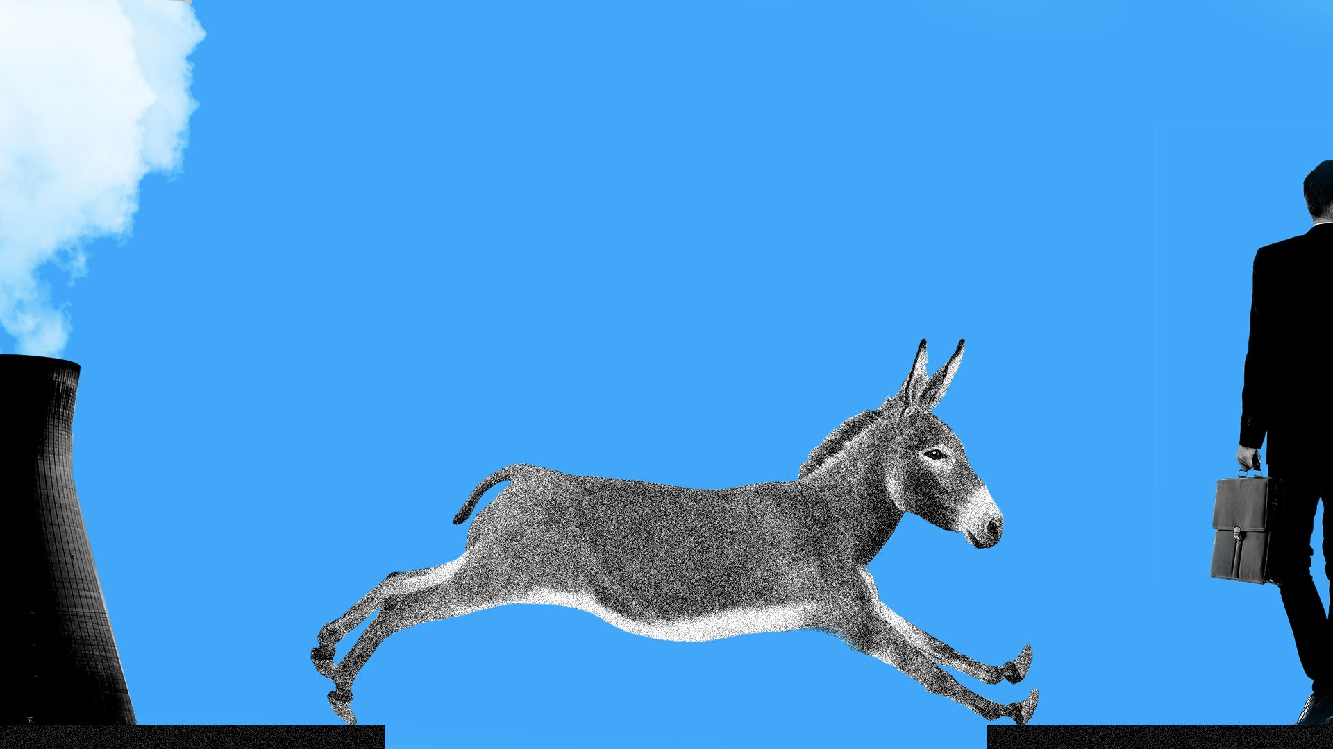 Donkey climate change