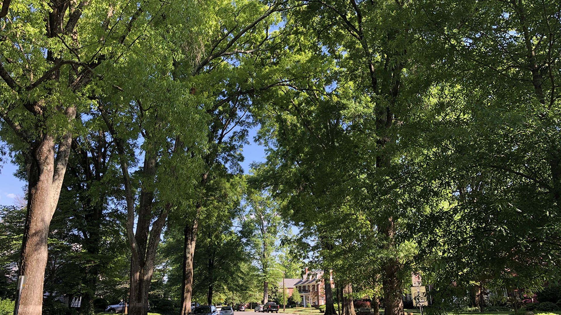 charlotte real estate