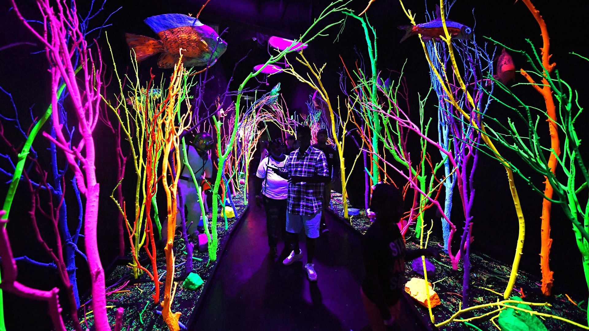 Photo of a lit-up interactive exhibit. 