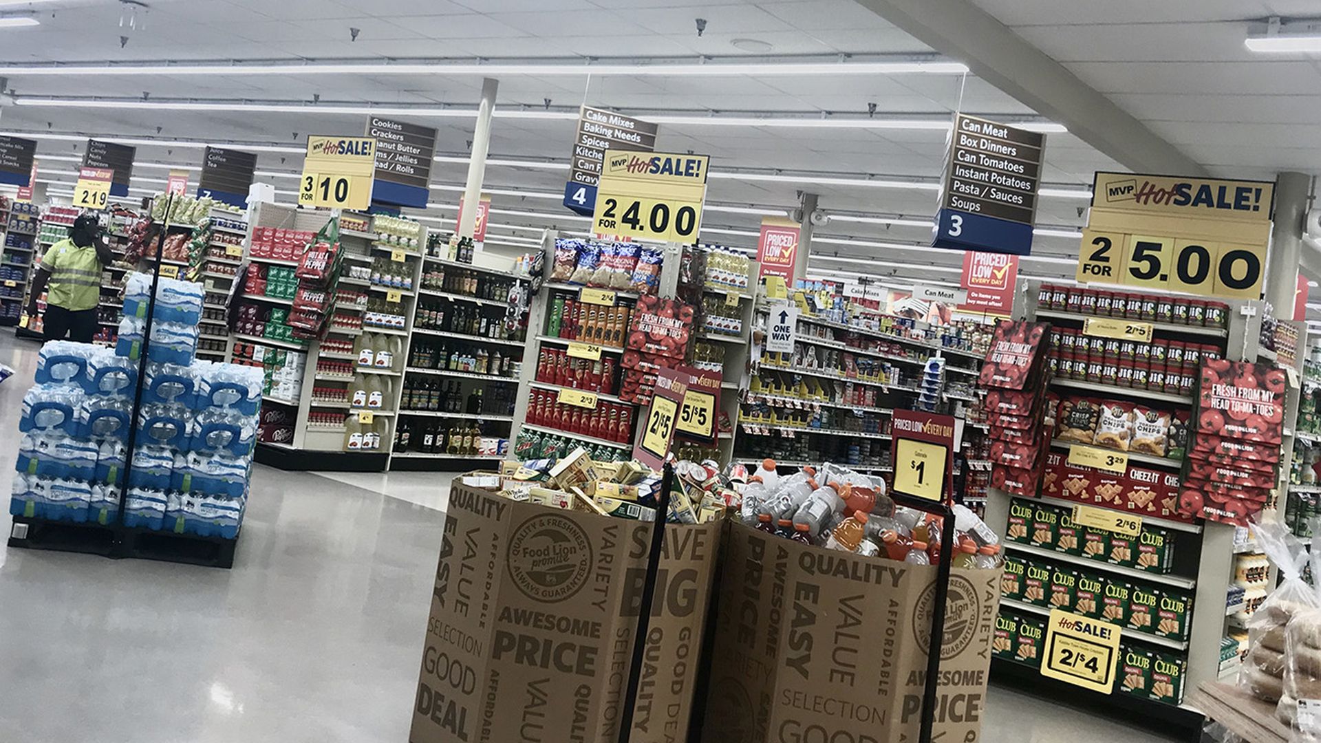 Food Lion on The Plaza