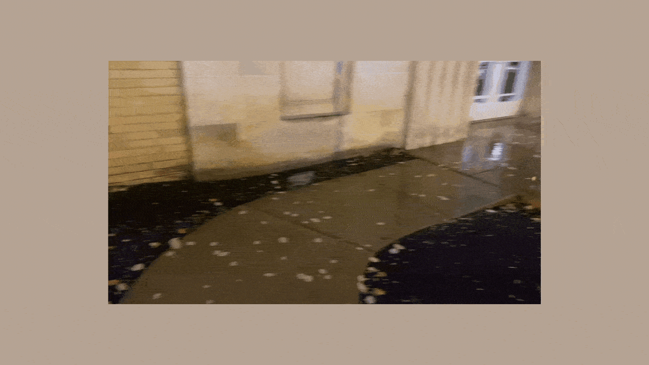 A rat scurries away while dog Manny catches a breath. 