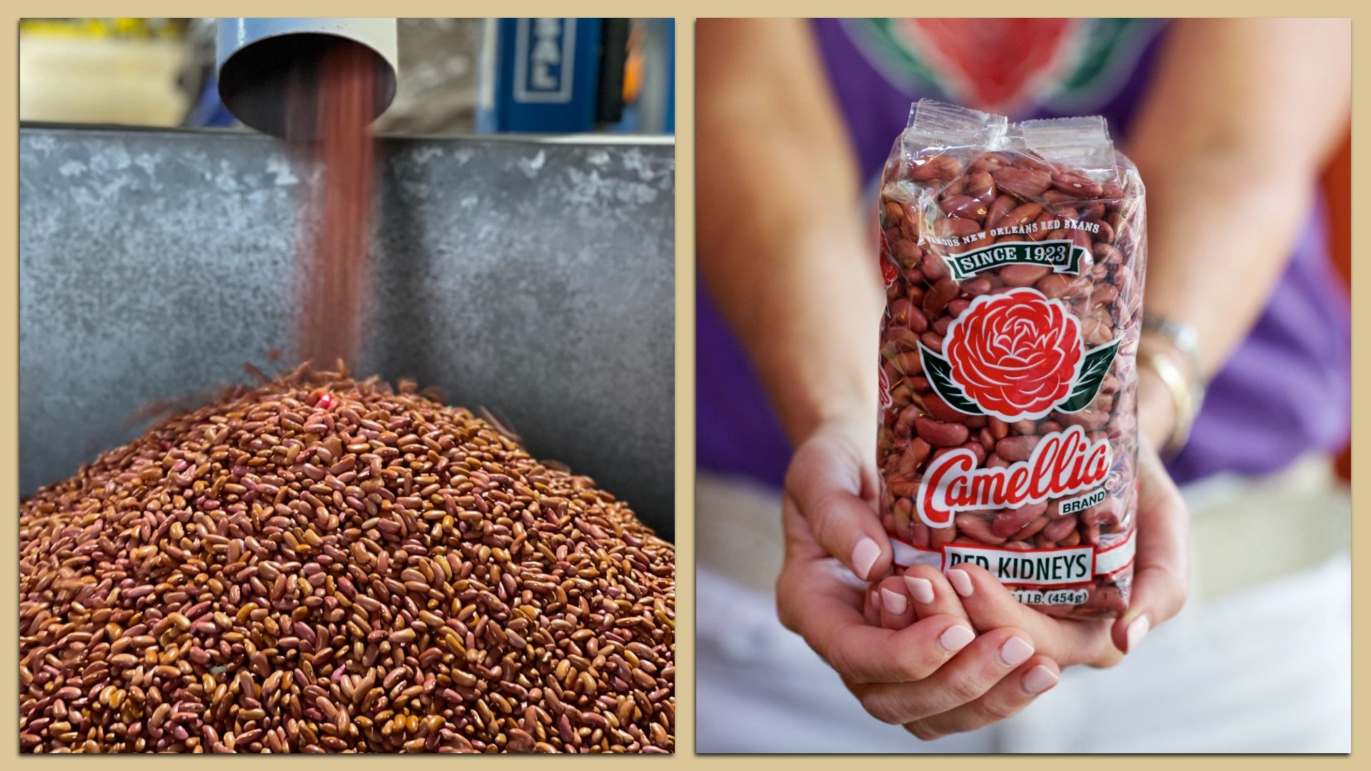 Two images side by side: left shows red kidney beans pouring into a large container, right shows hands holding a packaged bag of Camellia Brand Red Kidney Beans with a red rose logo.
