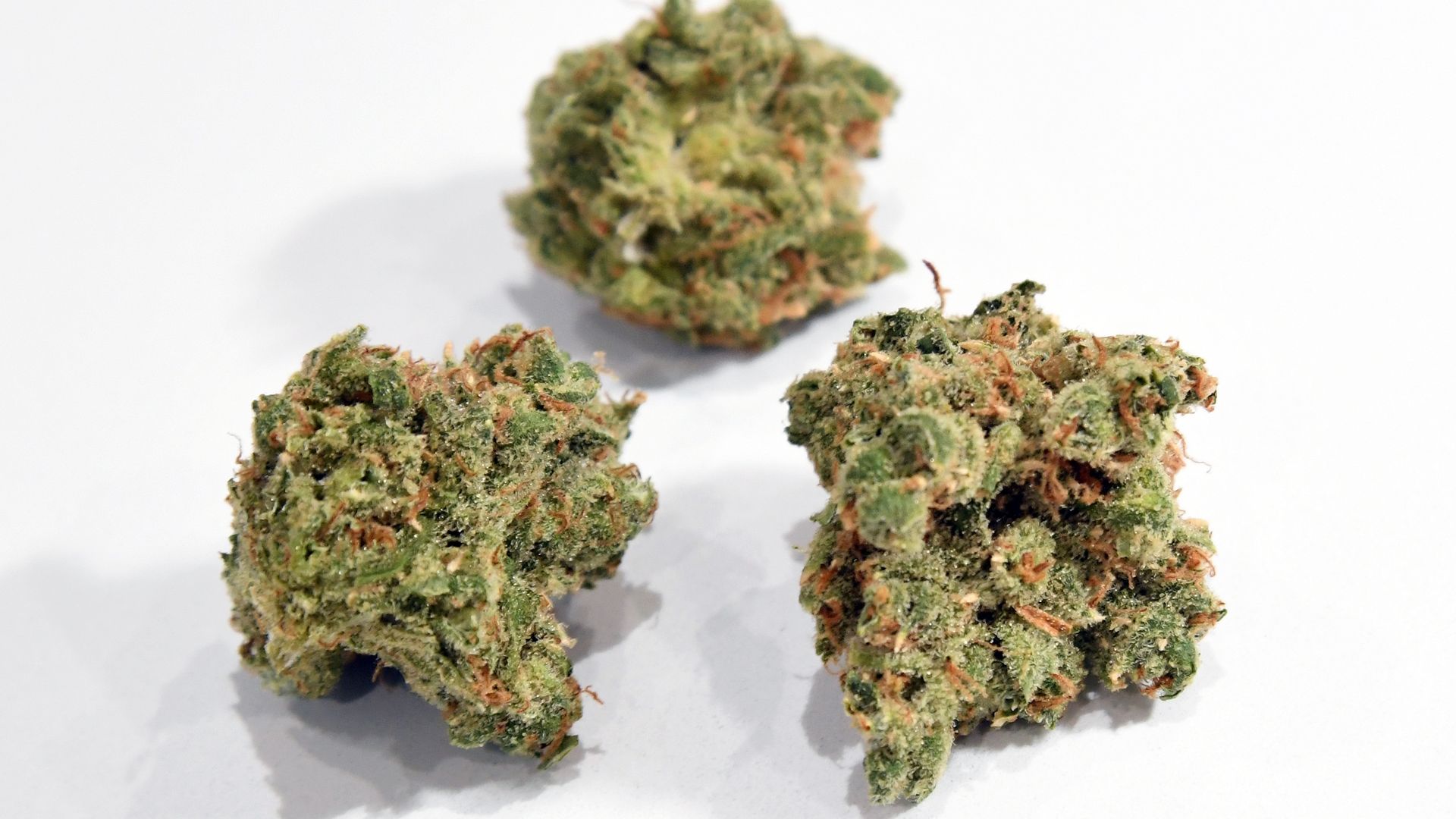 Minnesota's Medicinal Cannabis Program Now Includes Smokeable Marijuana ...