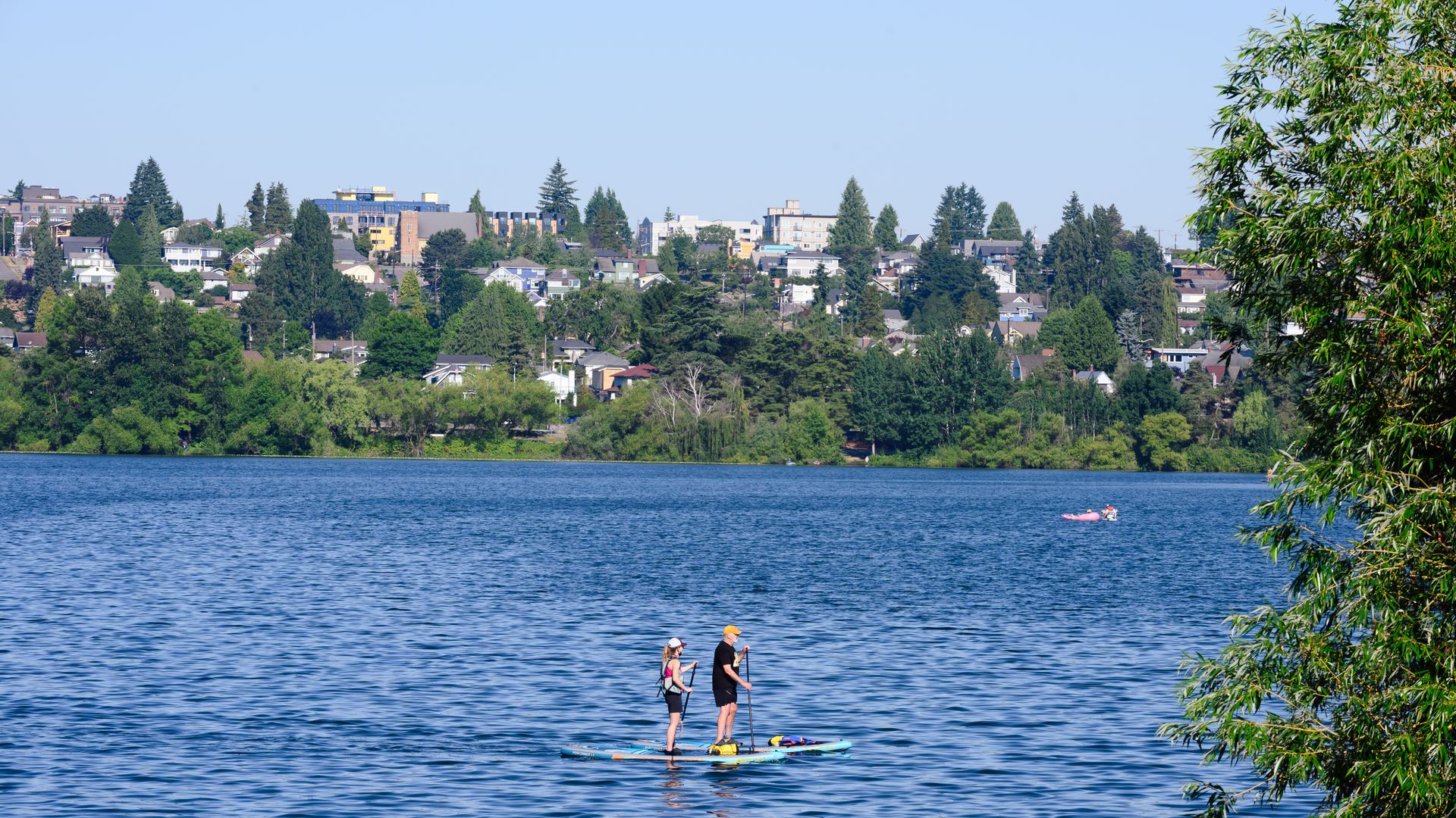 Two paddleboarders in Green Lake.