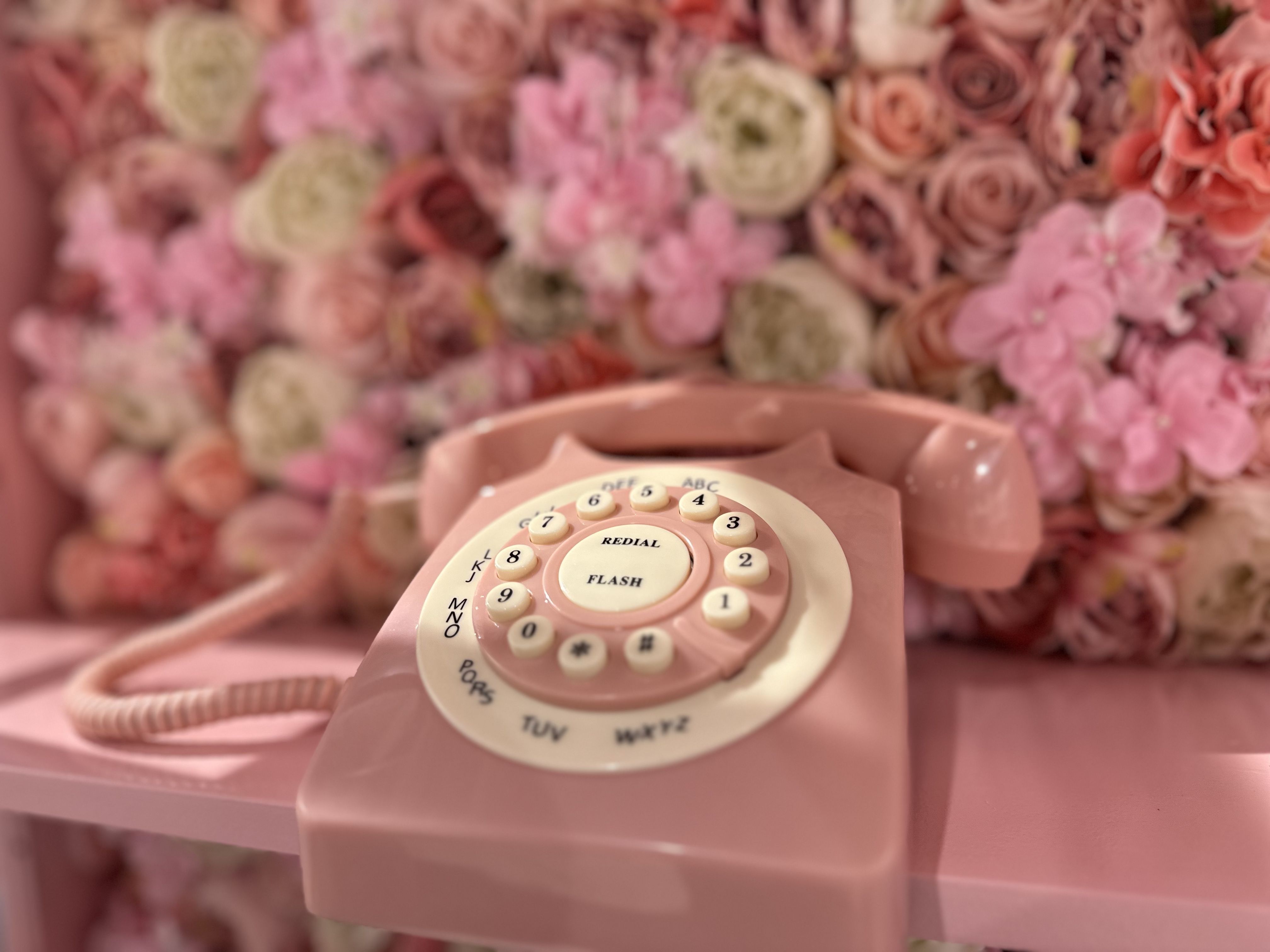 A pink rotary telephone in a flower-studded phone booth in the Sugar Factory in Boston.