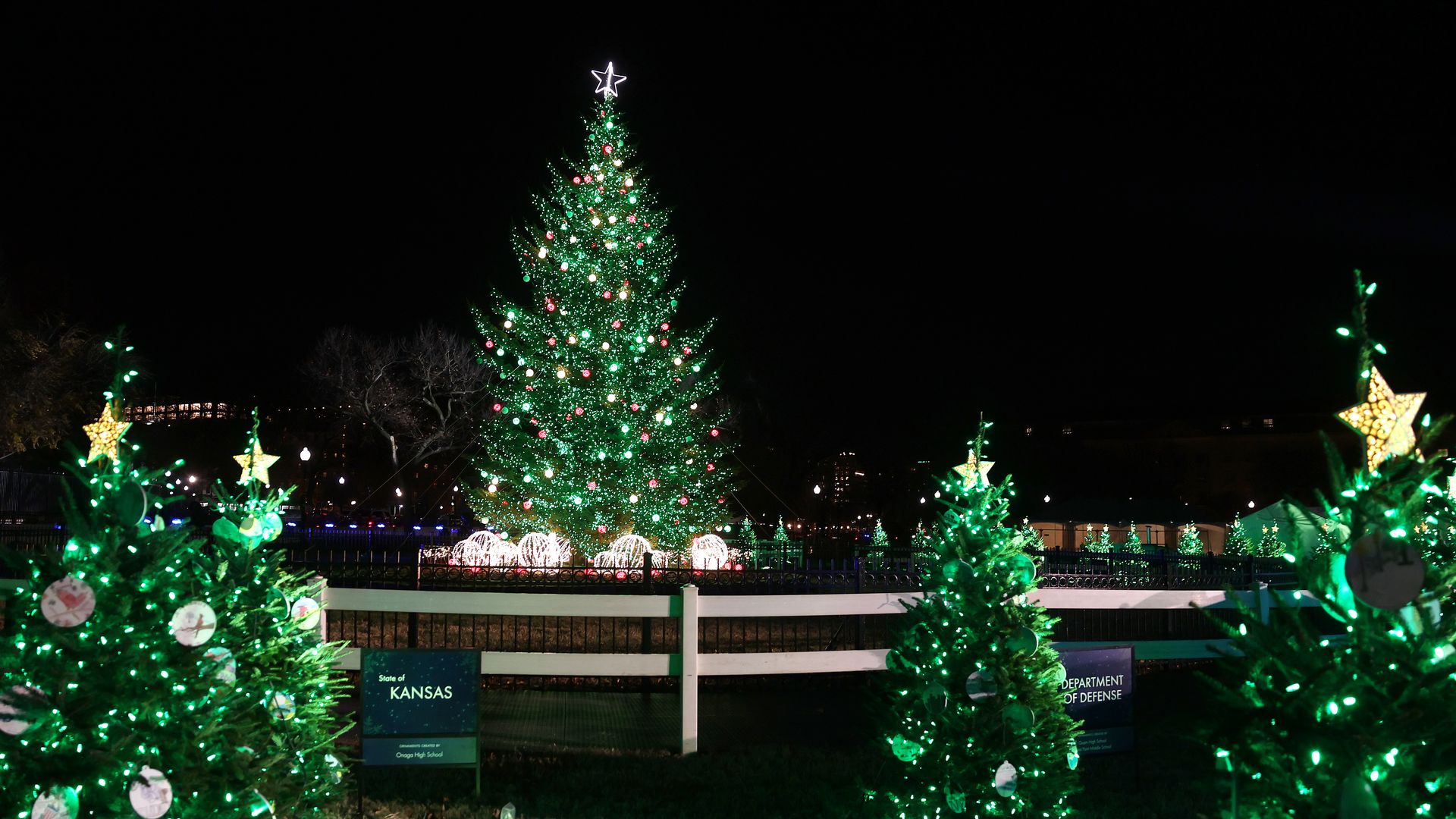 A photo of a large Christmas tree with lights.