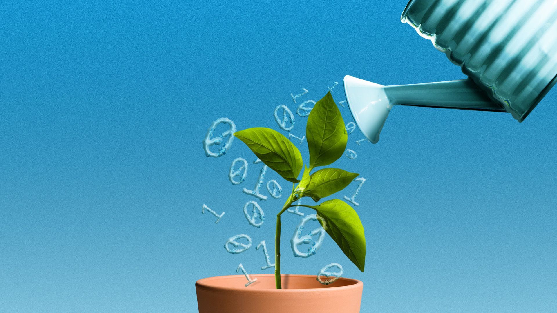 Illustration of a watering can watering binary code water droplets onto a tilted over little plant