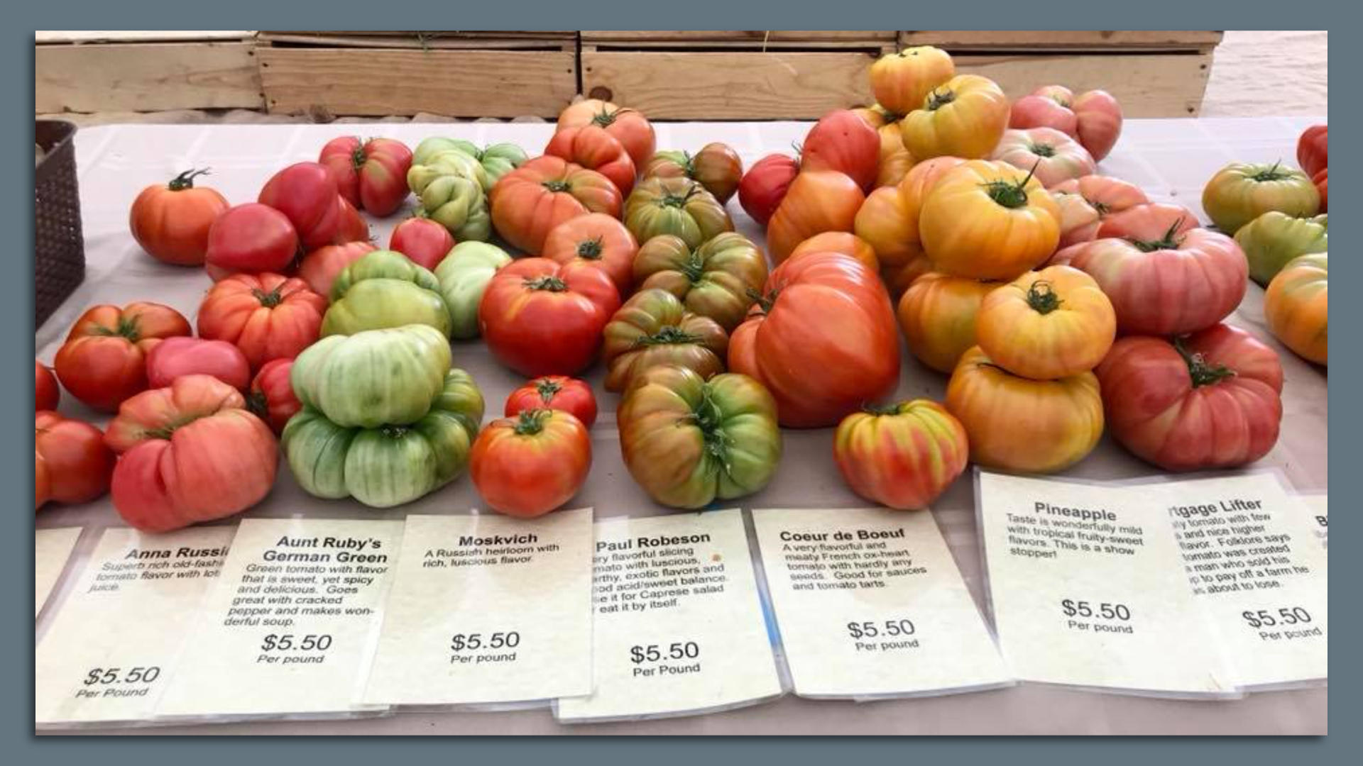 An array of different kinds of tomatoes