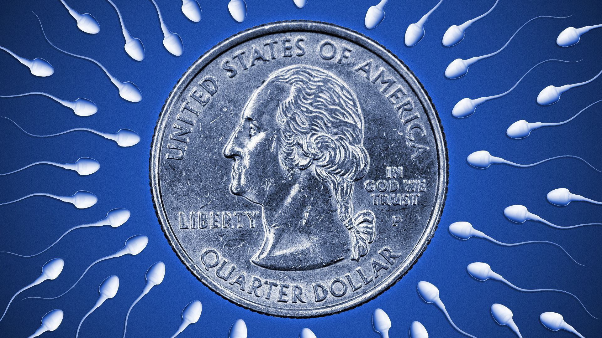 Illustration of a quarter surrounded by sperm.