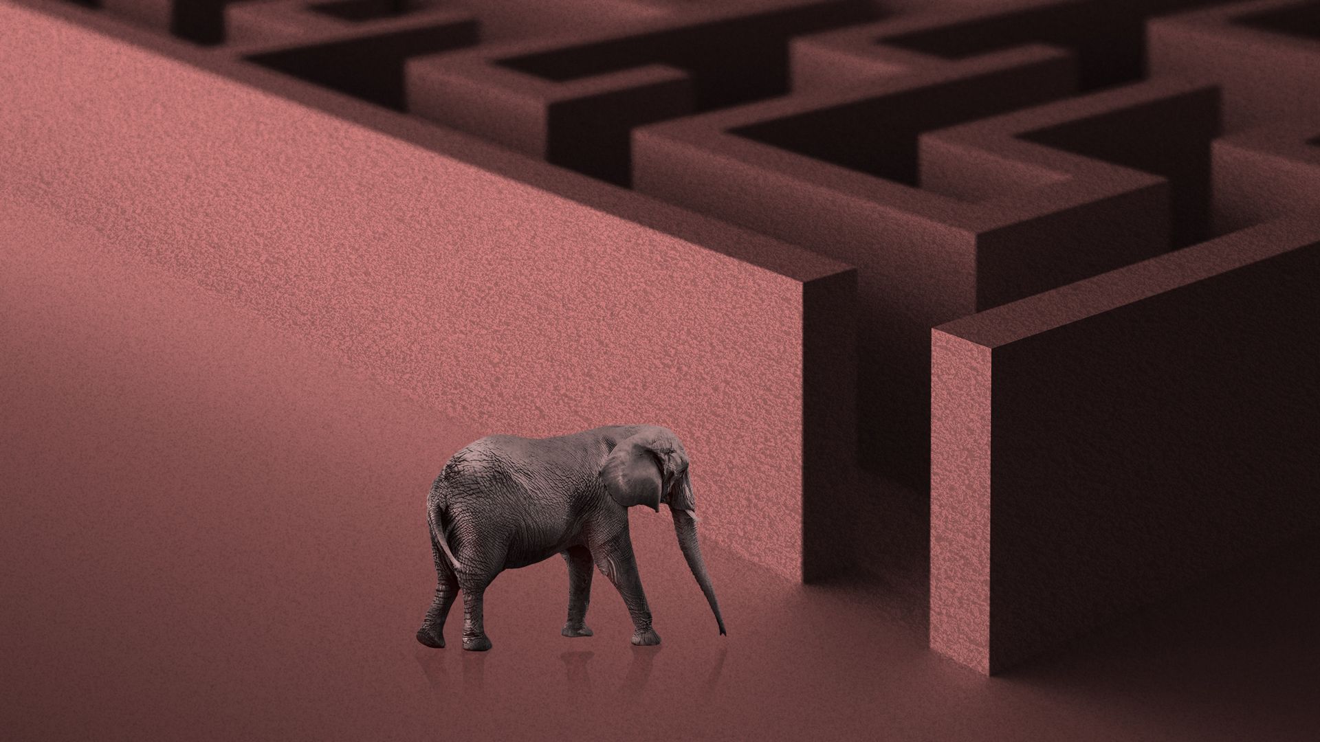 Illustration of an elephant walking toward the entrance to a large maze.