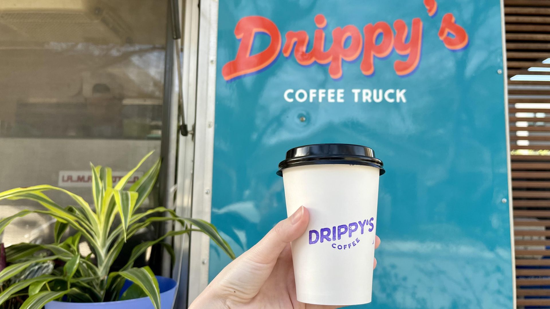 A bright blue truck with a green plant has the retro red text of "Drippy's Coffee Truck" behind a hand holding up a to-go coffee cup with purple Drippy's Coffee branding.