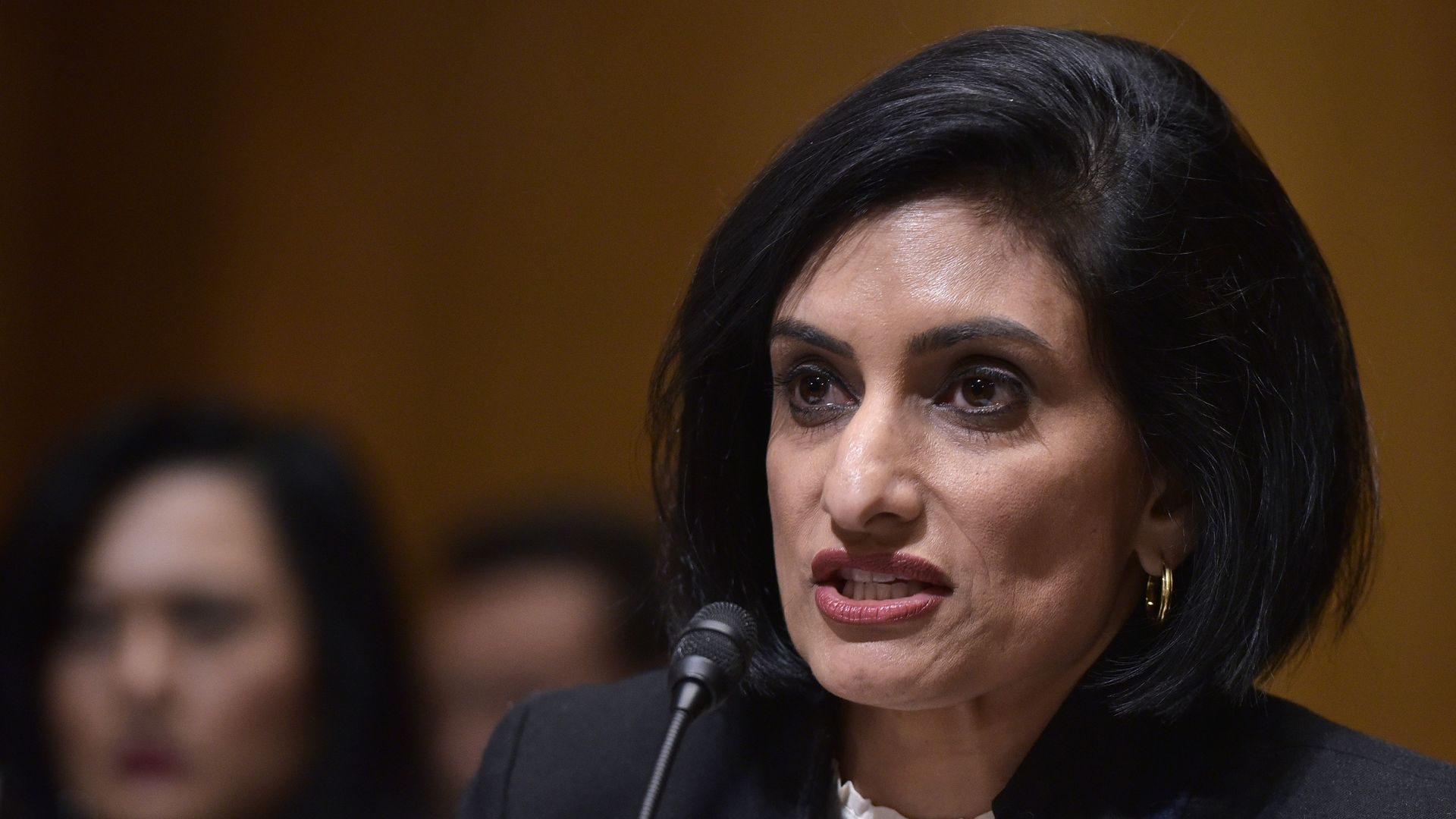 Medicaid administrator Seema Verma speaks at her confirmation hearing.