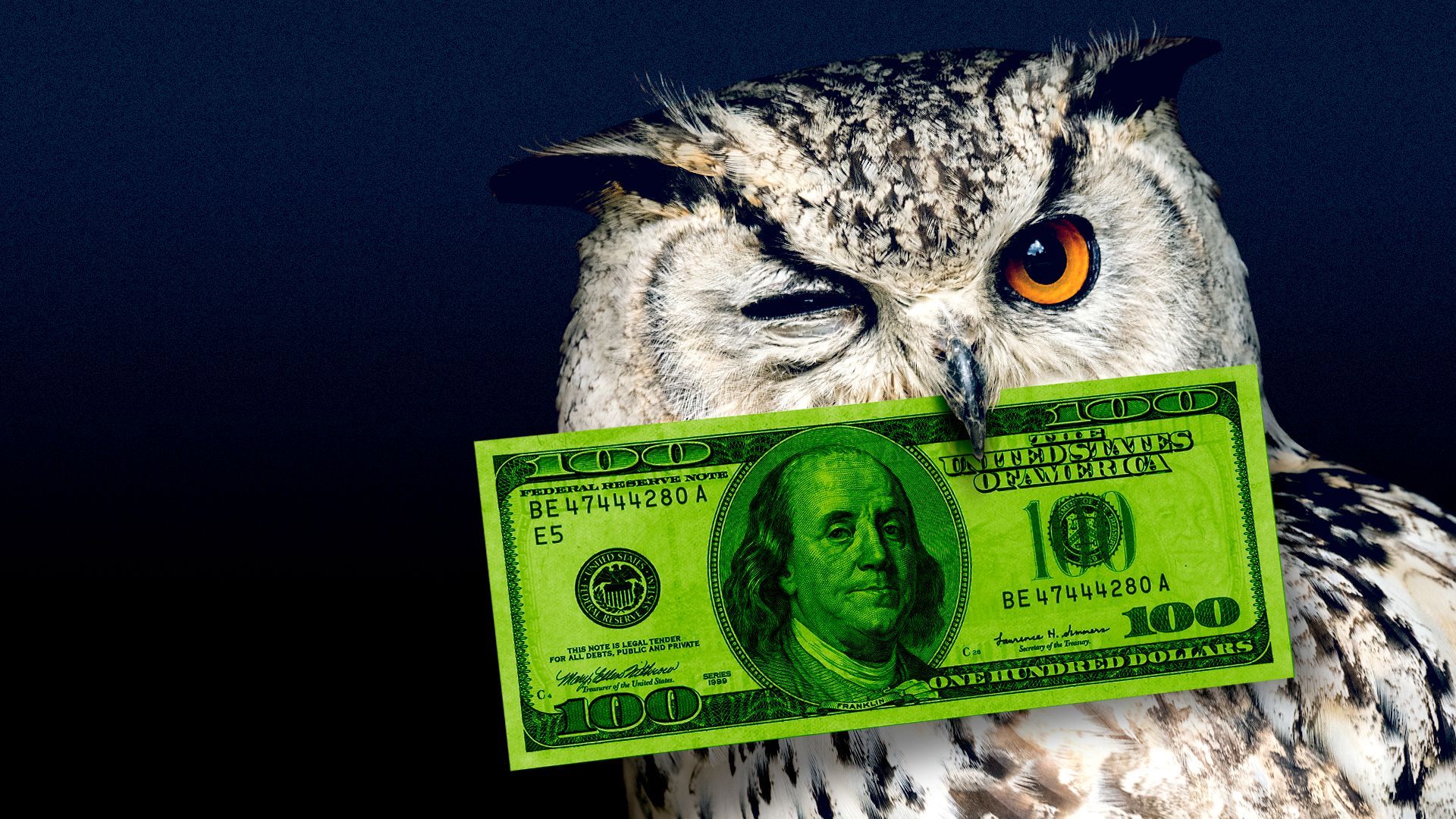 Illustration of an owl winking while holding a one hundred dollar bill in its beak