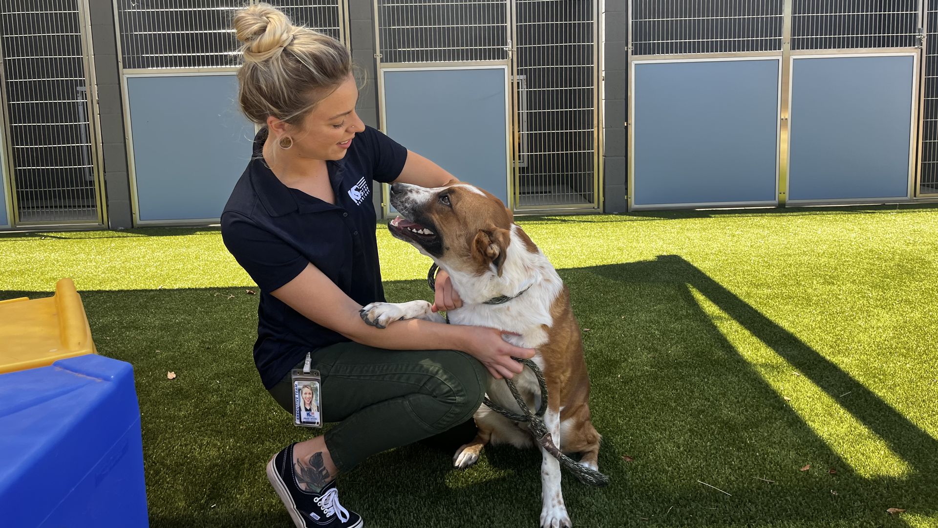 A woman with her arms around an Aussie-cattle dog mix.