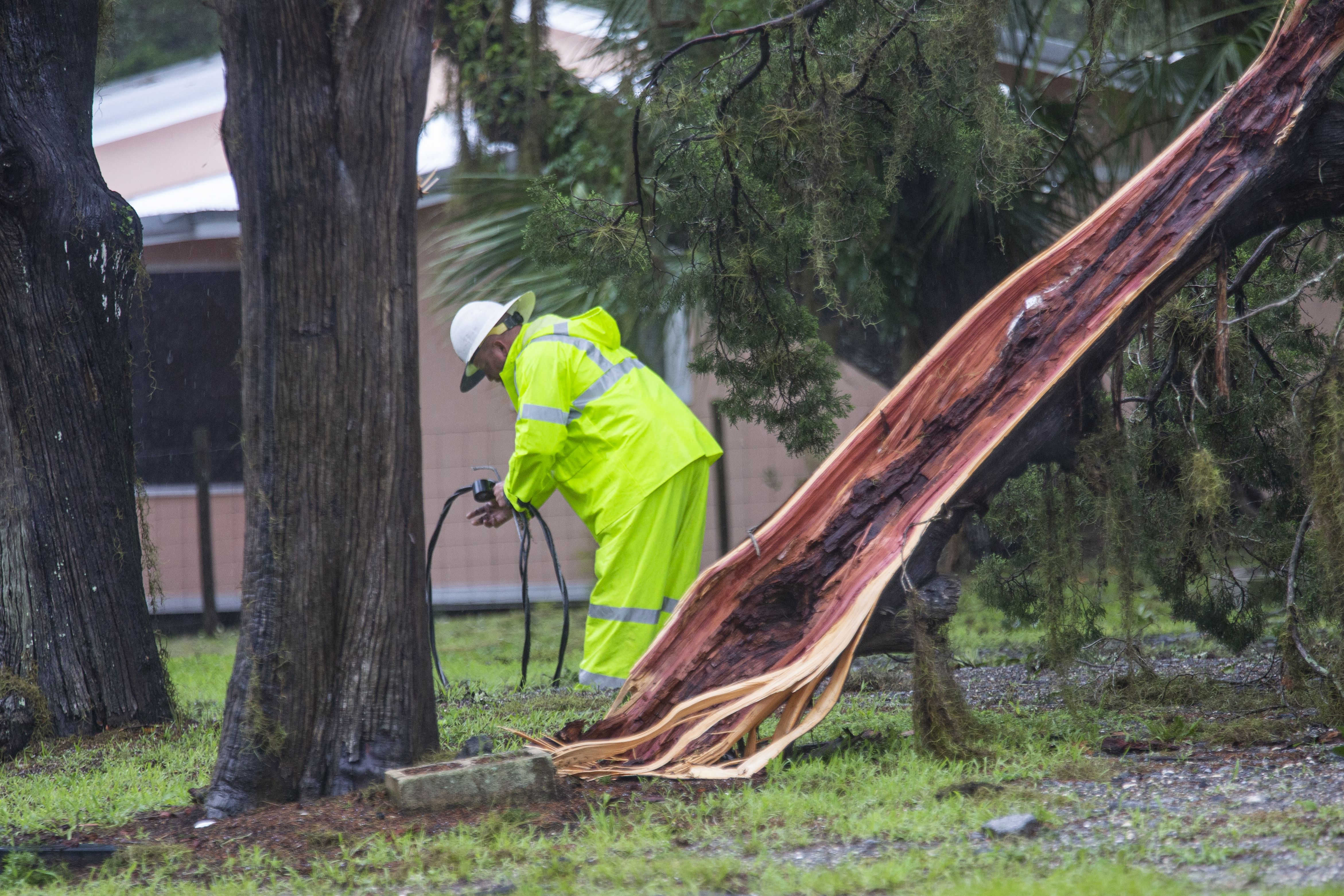 Power crews work next to a felled tree