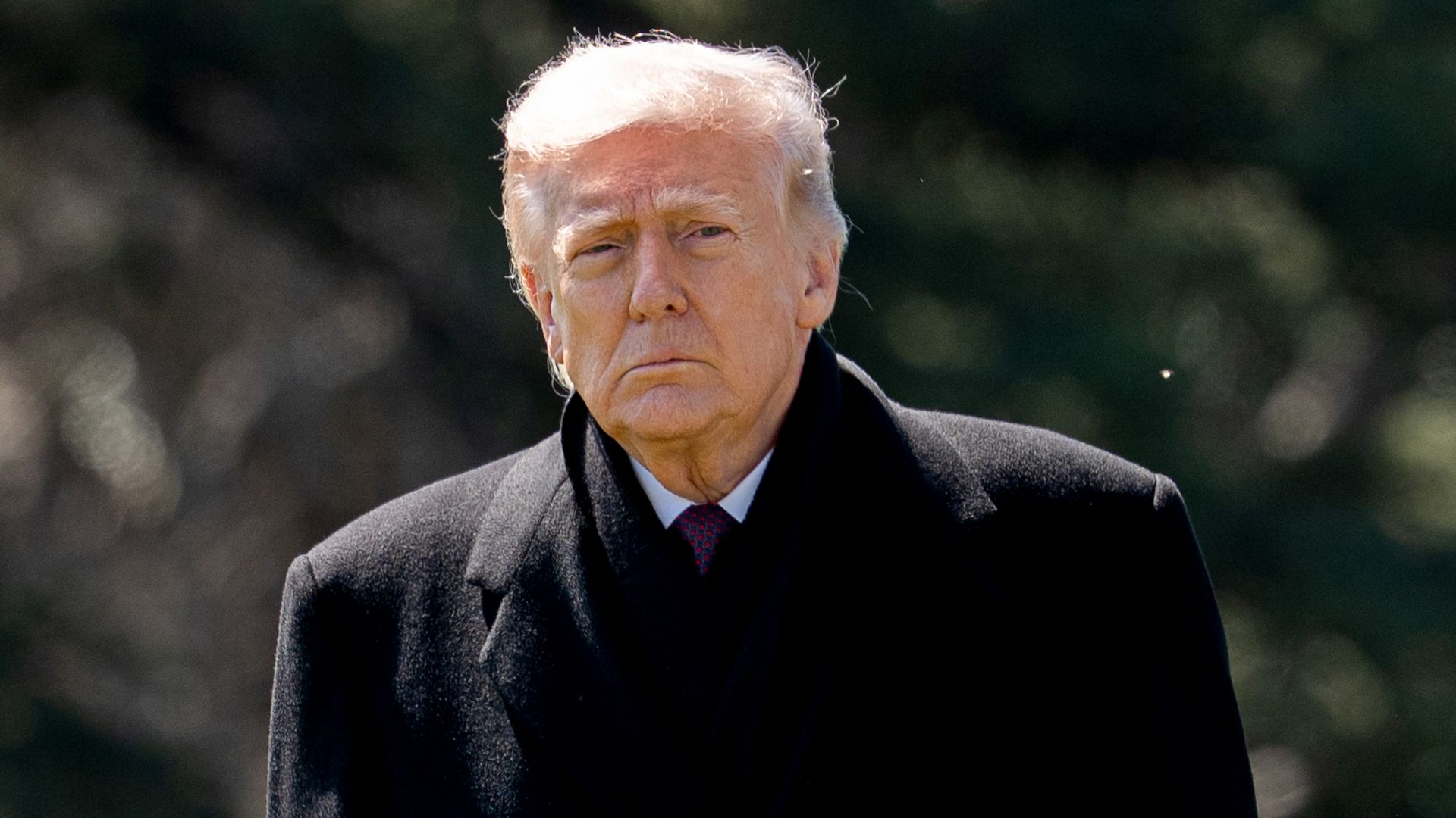 Portrait of President Trump, a mature man with white hair, wearing a stern expression, wearing a dark overcoat and a red tie, standing outdoors with a blurred green background.