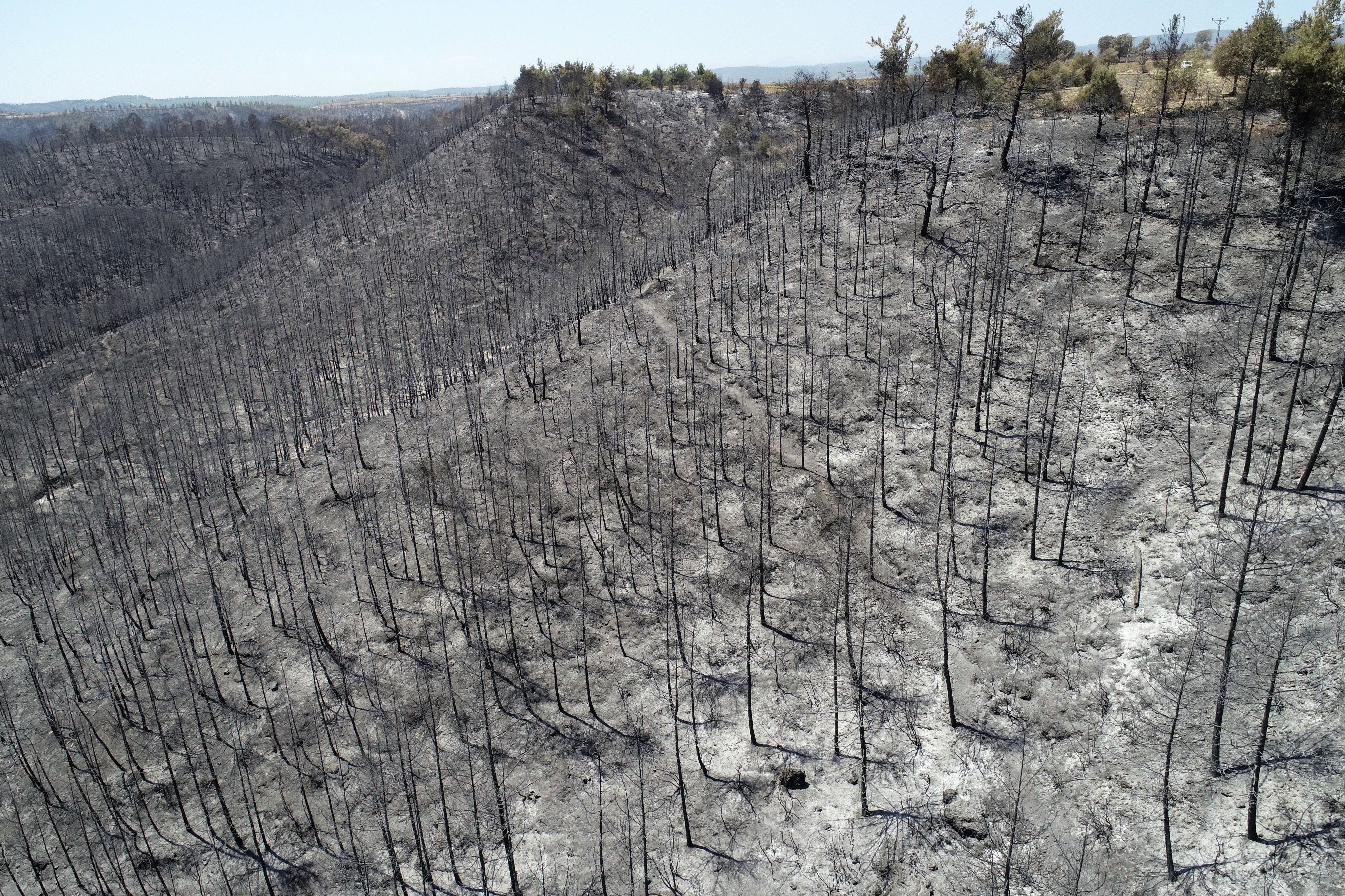 An aerial view of damaged areas after a forest fire in Adana, Turkey on July 31, 2021
