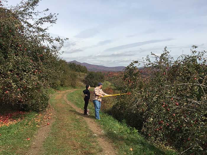 altapass-picking-new