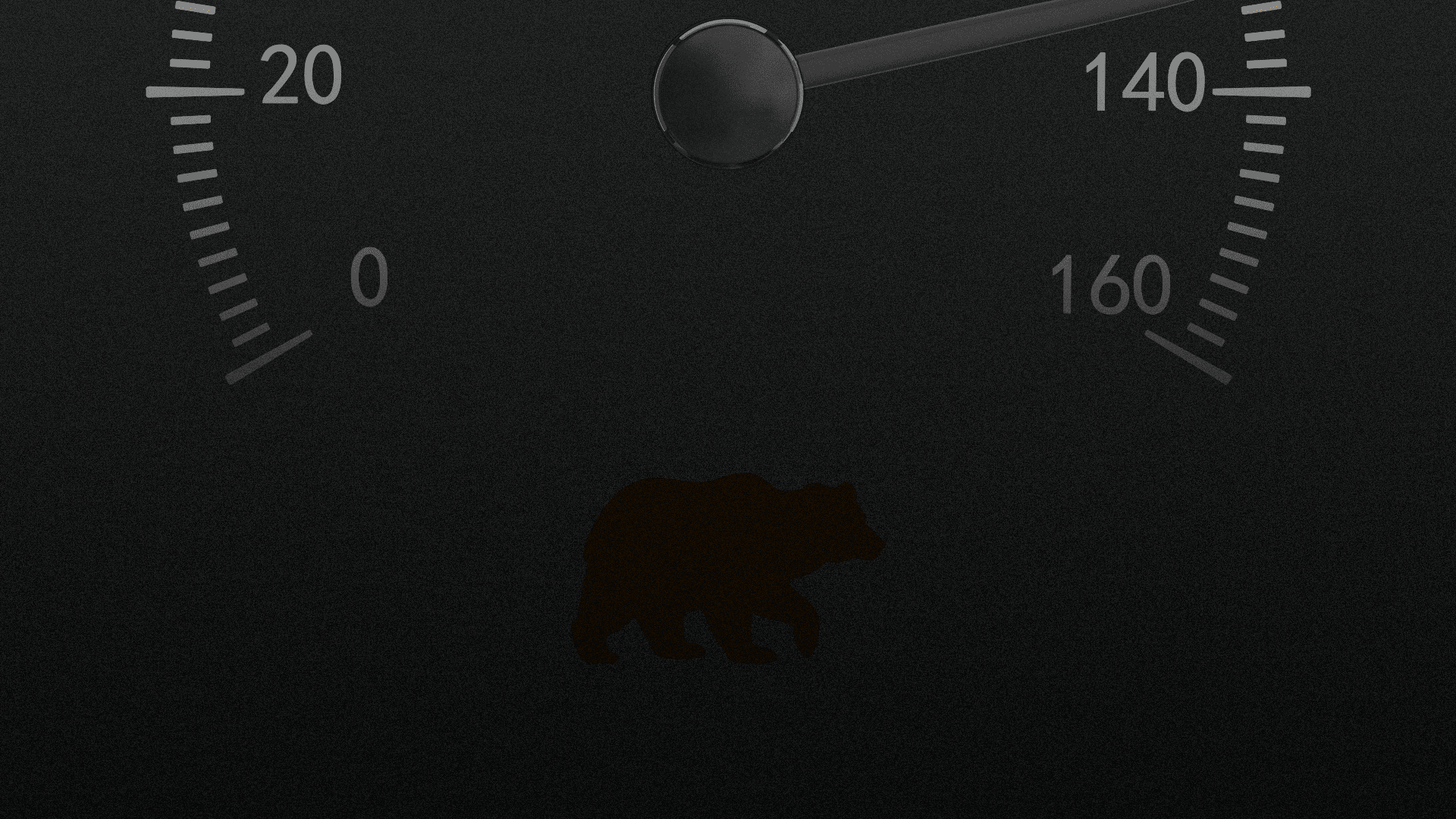 flashing bear against black background