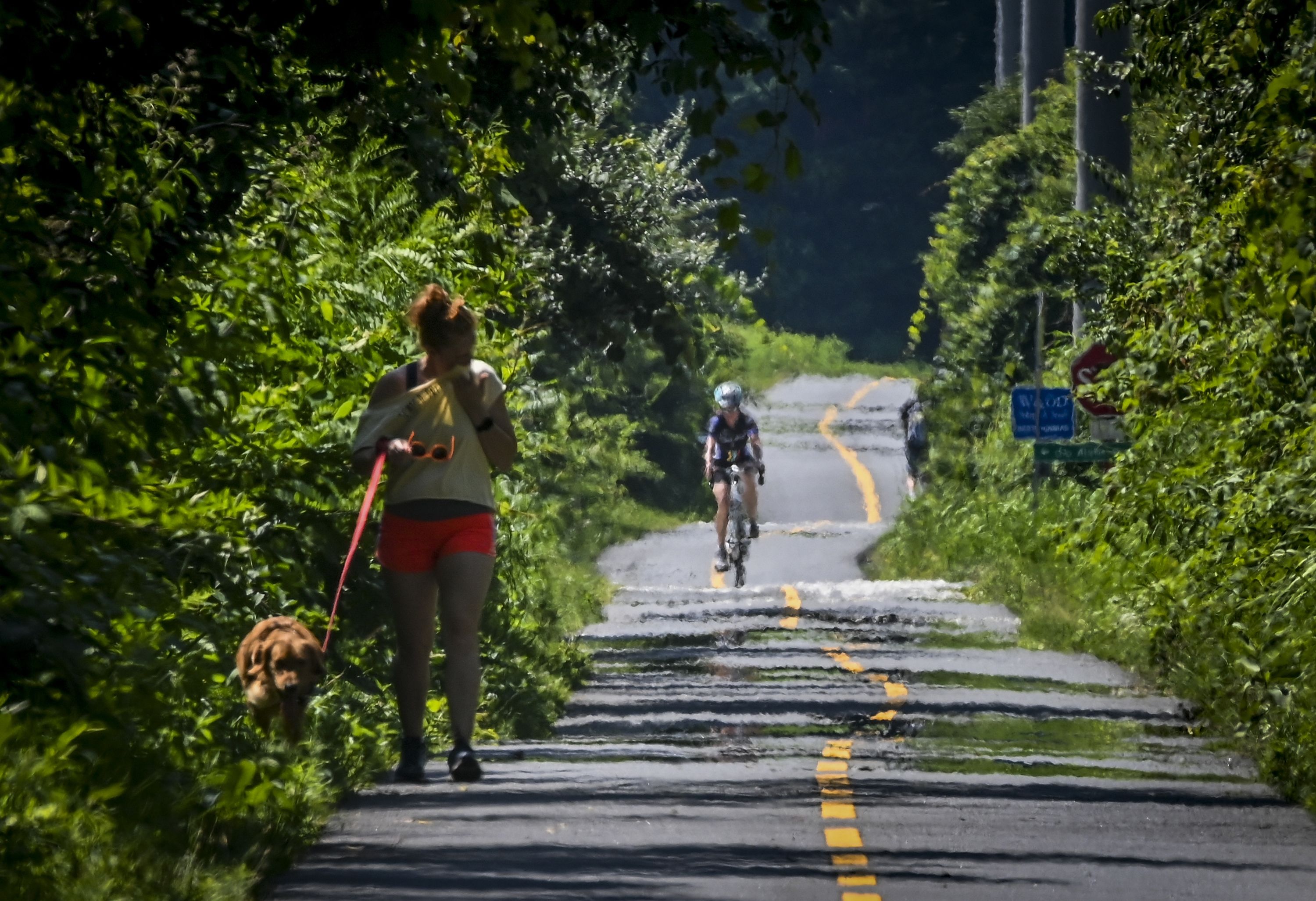 Heat waves rise from the Washington and Old Dominion Trail as Susan Stone Lee, vacationing from Waco, Texas, walks her dog, Waffles, on Tuesday.
