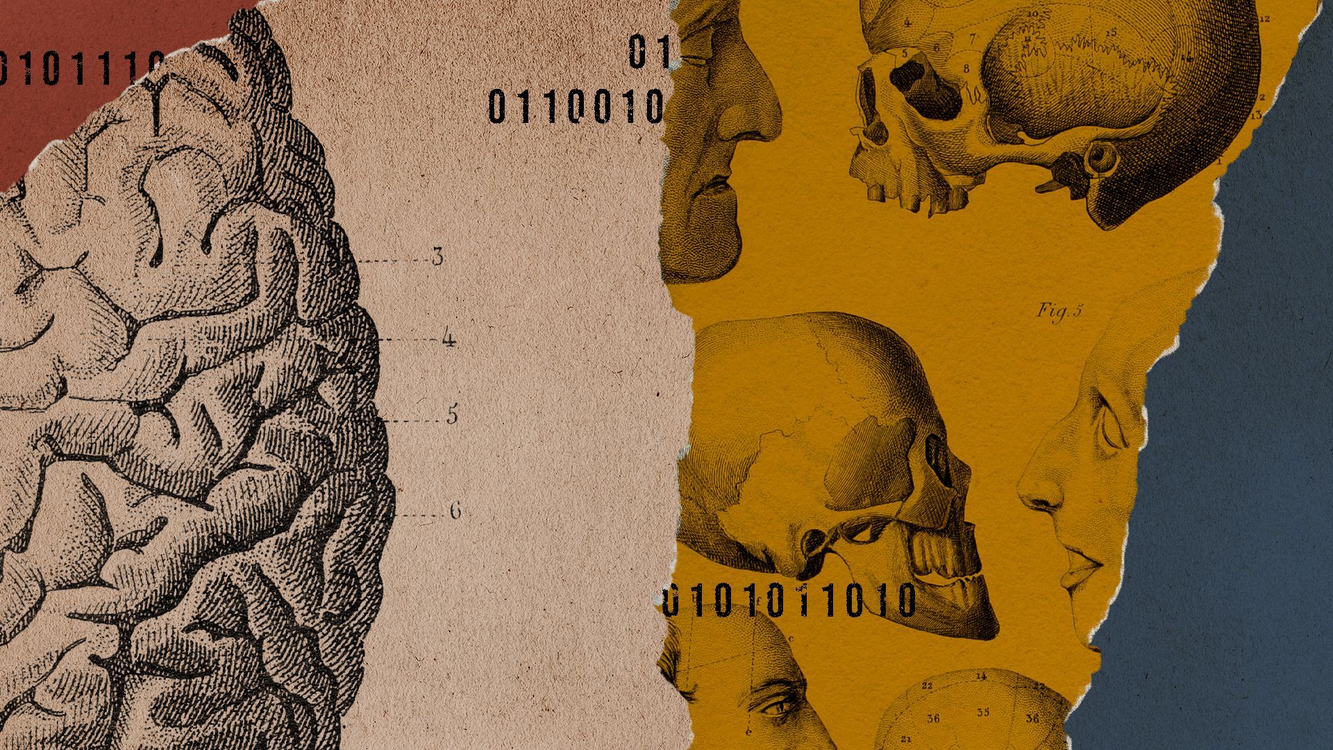 Photo illustration of medical drawings of a brain.