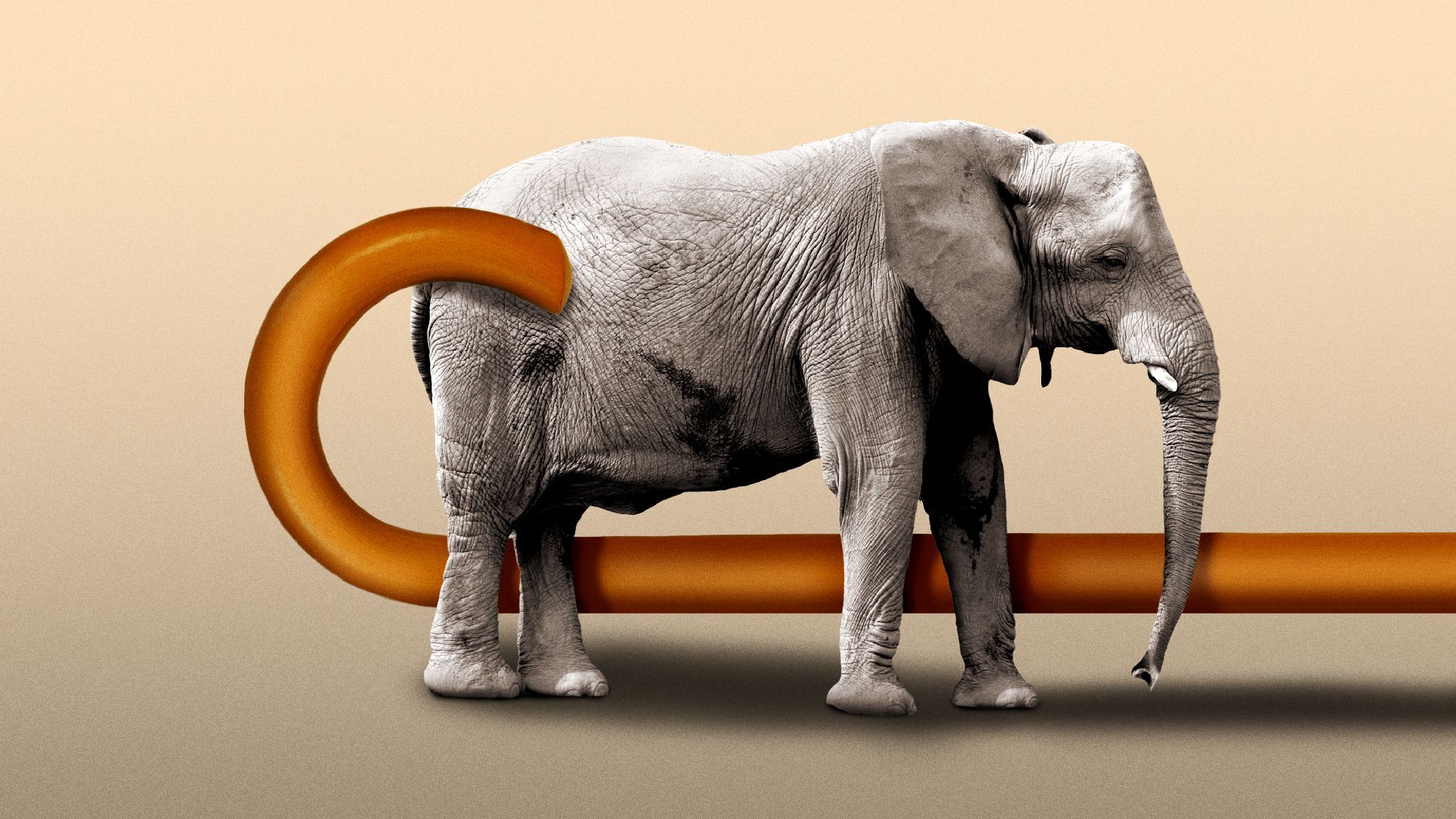 Illustration of a cane pulling an elephant offstage.