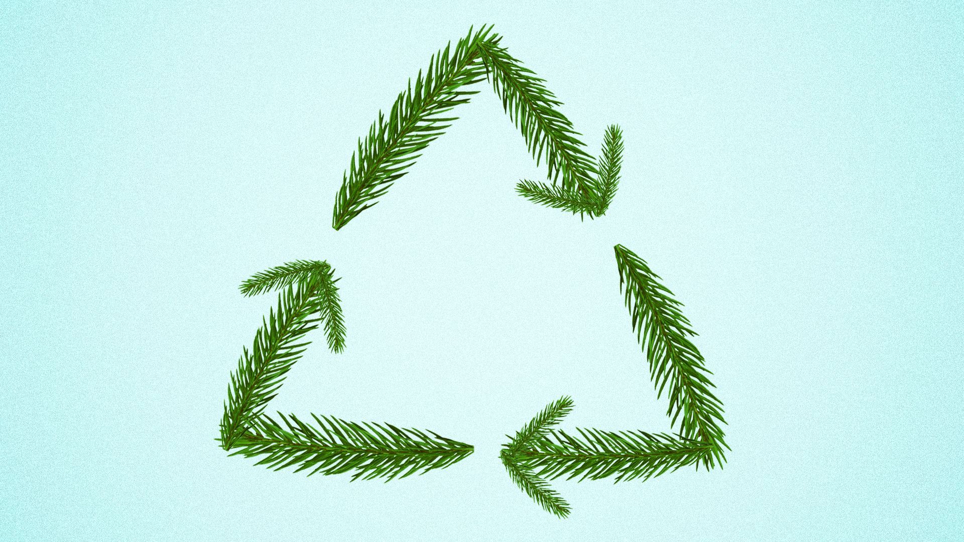 Illustration of a recycling symbol made from Christmas tree pine needles.