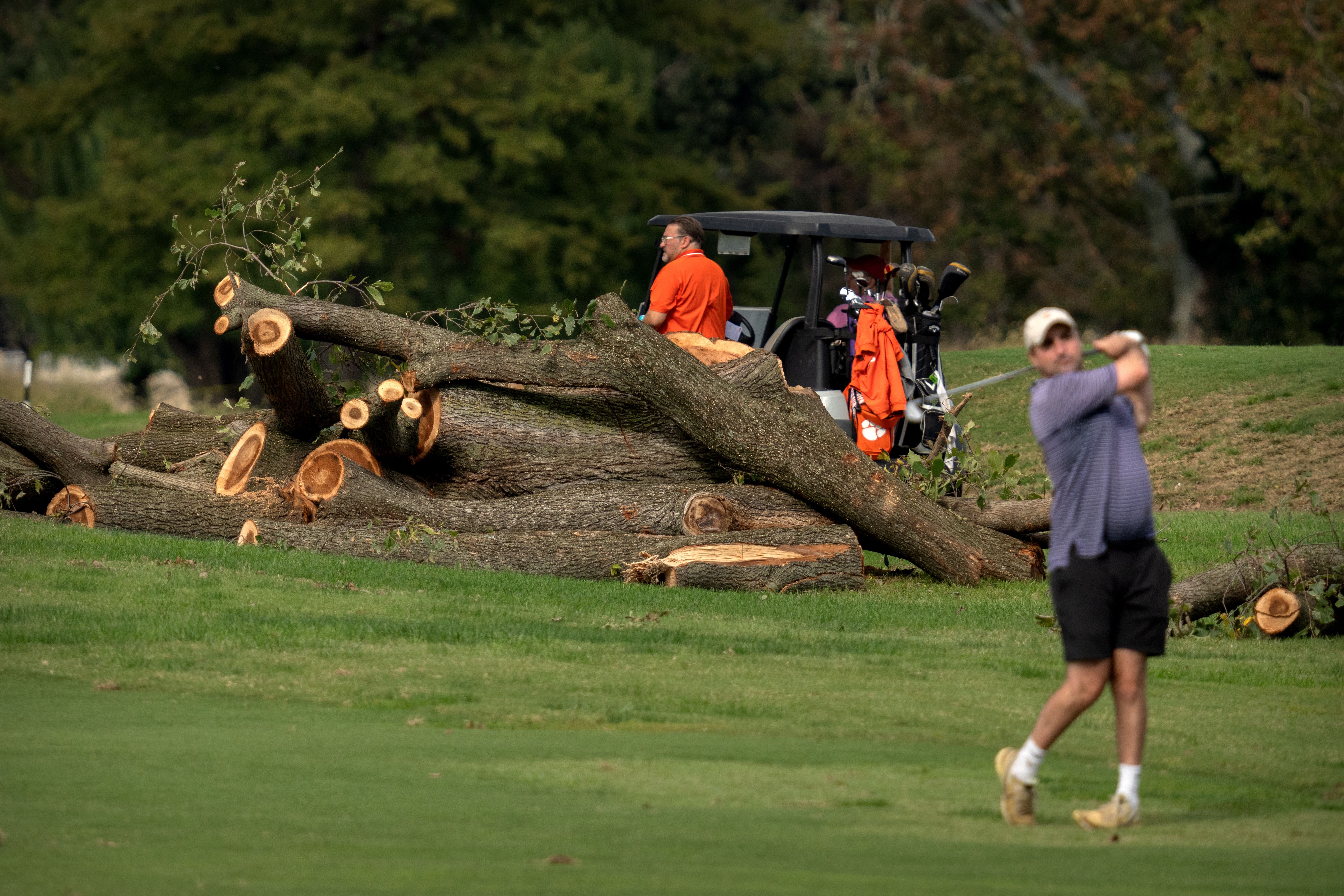 Golfers hit from the fairway near log sections cut from trees at the East Potomac Golf Links, Monday, Oct. 12, 2026, in Washington.