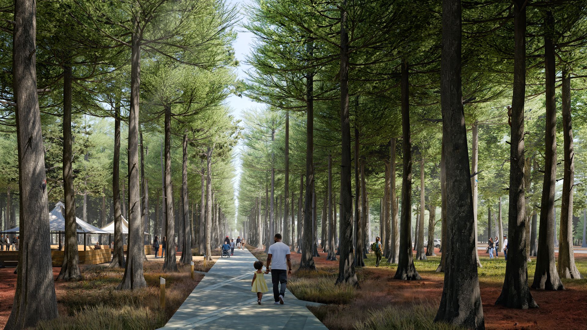 A rendering of a park with a lot of cypress trees. 