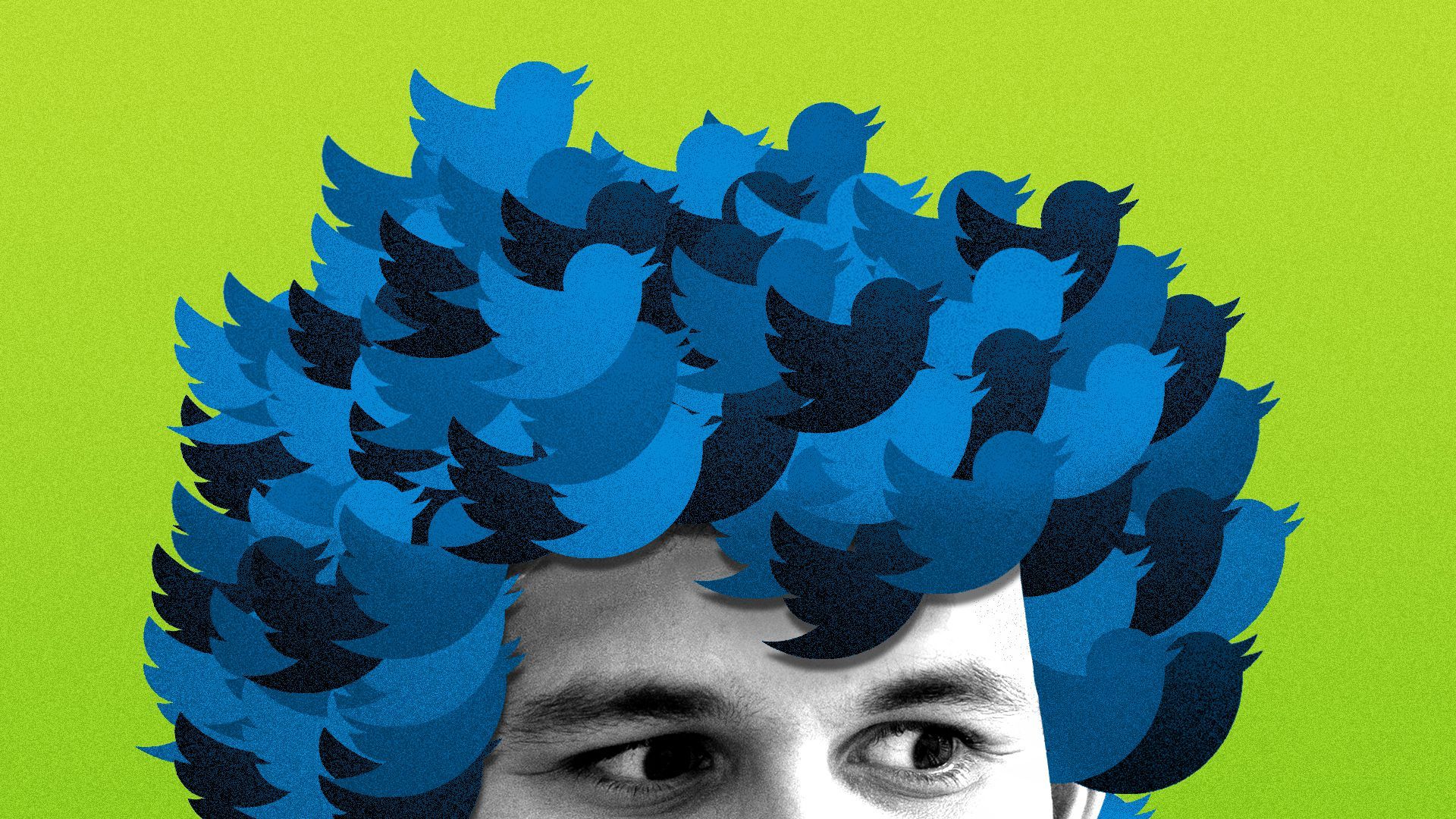 Photo illustration of Sam Bankman-Fried with hair made out of Twitter logos.