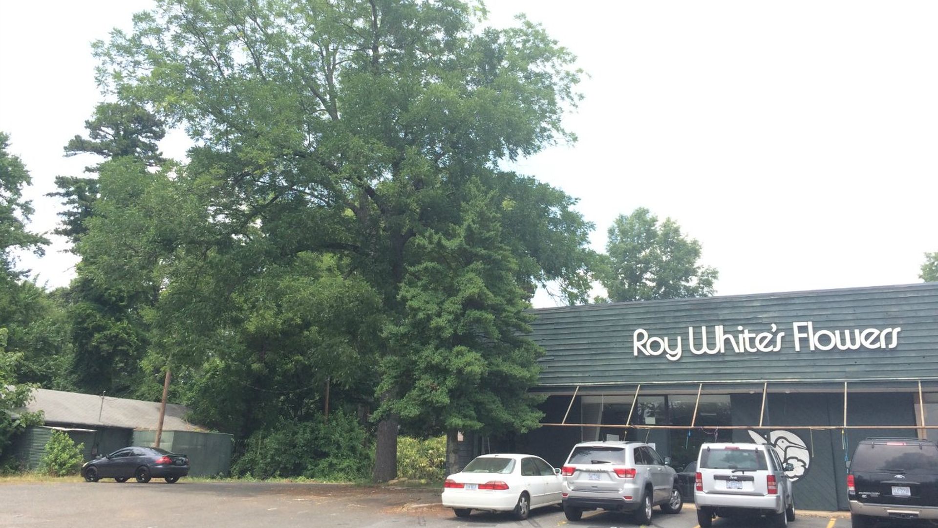 7th Street Roy White