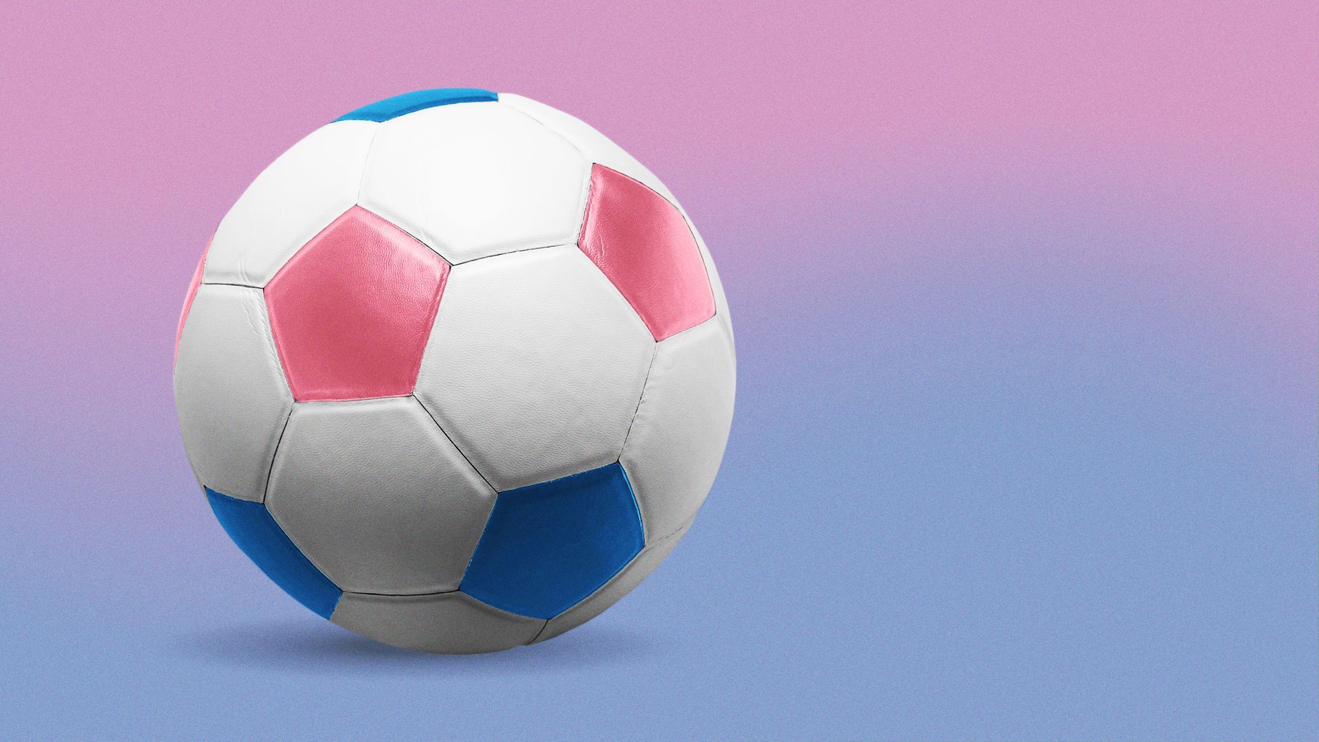 Illustration of a soccer ball with the patches colored in light pink and blue, similar to the transgender flag.