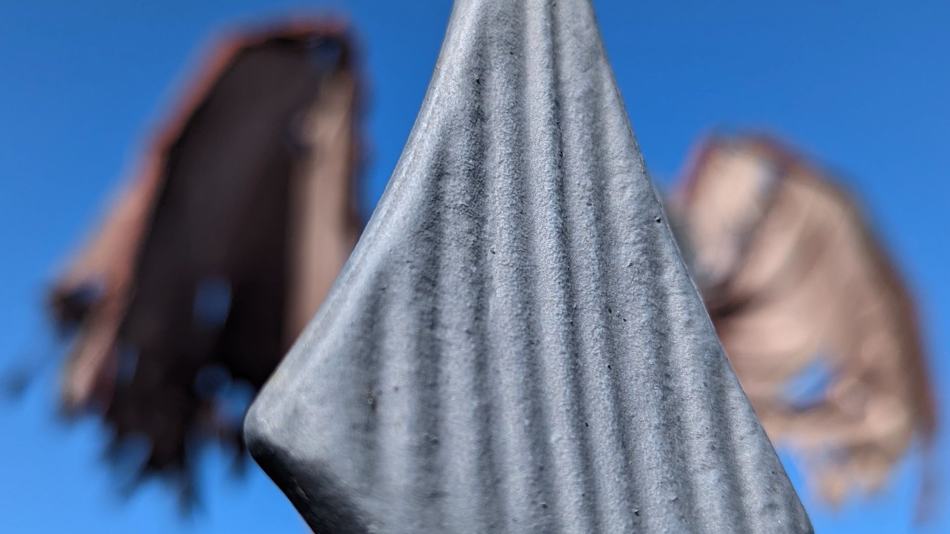 An angled plate of rippled metal stands in front of two brown wings.
